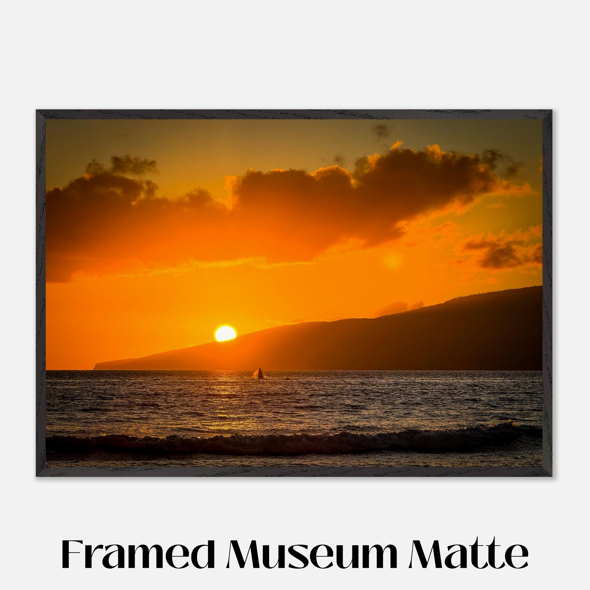 Baby Whale Catching Sunset - Black Framed Museum Matte Print Mockup - 28x40  inch size - Chrysalis Design Studio - Maui Photography - Labeled.png