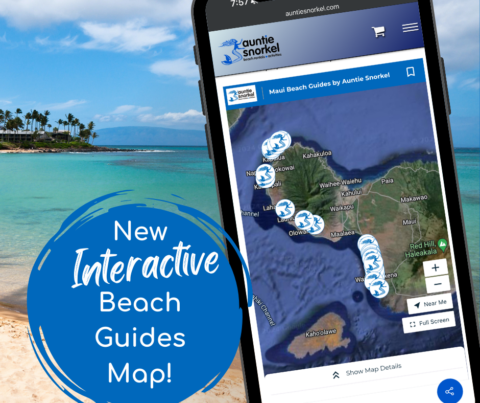 New Interactive Beach Guides Map (Facebook Post).png