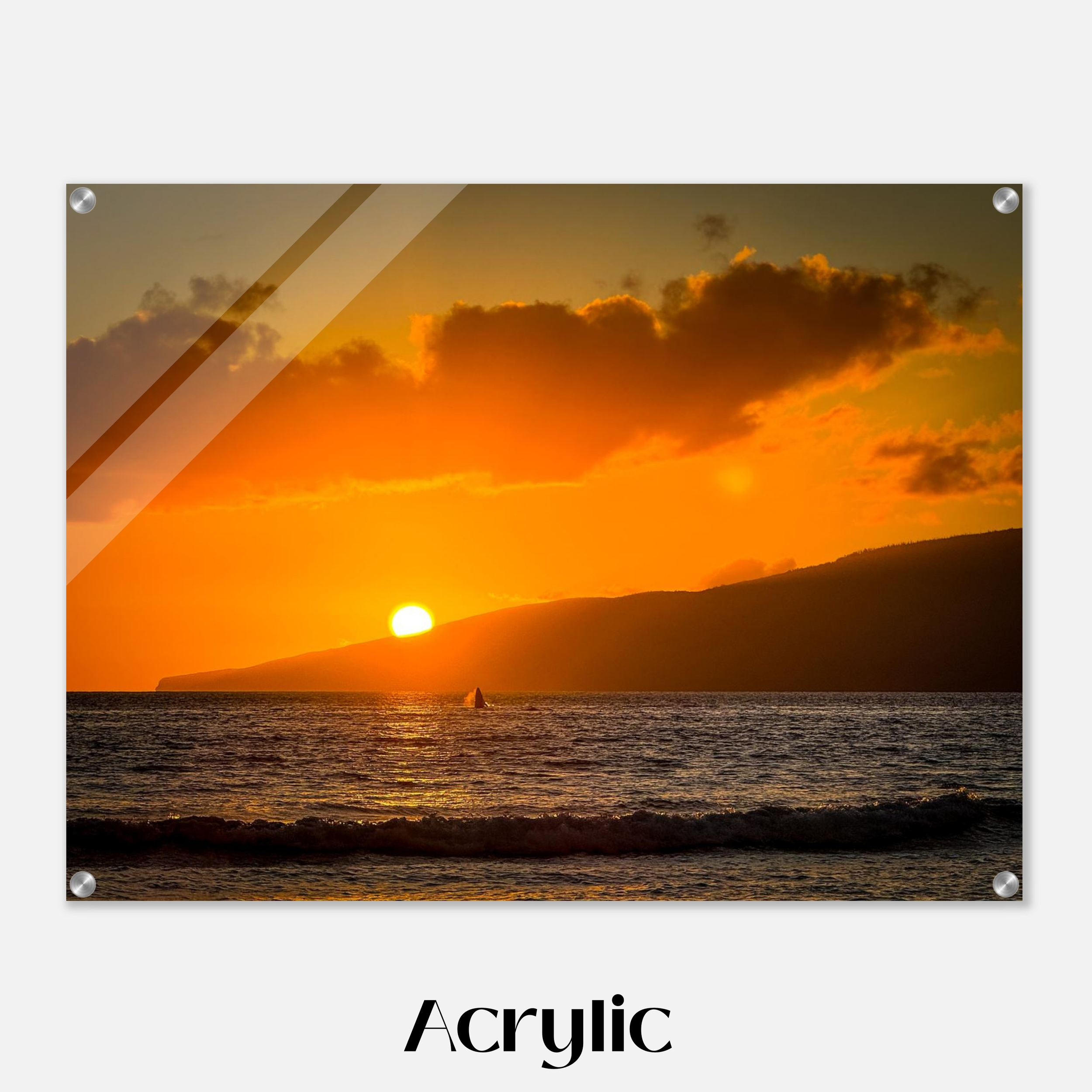 Baby Whale Catching Sunset - Acrylic Print Mockup - 24x32 inch size - Chrysalis Design Studio - Maui Photography - Labeled.png
