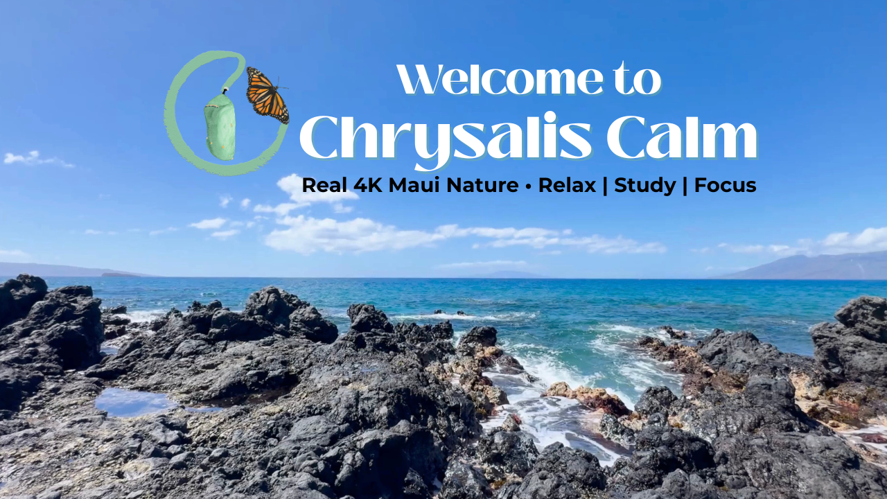 YouTube Trailer Thumbnail - Chrysalis Calm by Chrysalis Design Studio - Tagline Black.png