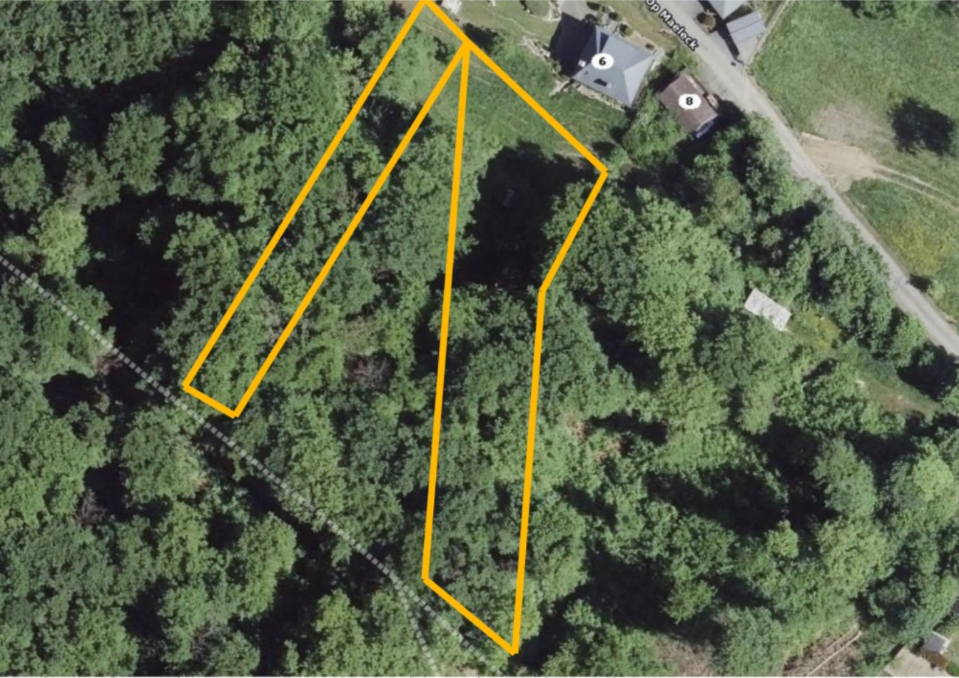 Vue aérienne d'une forêt dense avec des lignes oranges délimitant deux parcelles de terrain boisées, une petite maison et des chemins visibles.