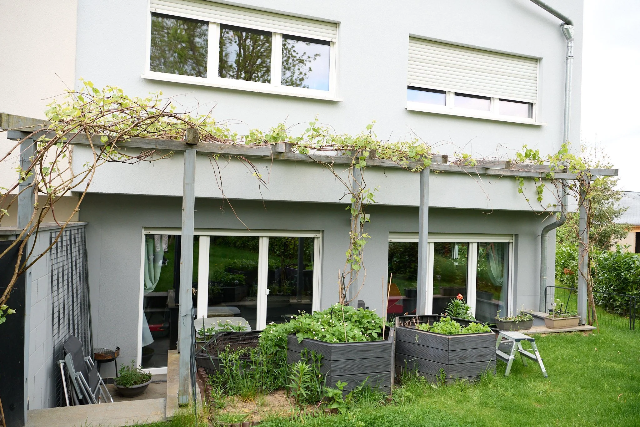 Maison moderne avec un balcon orné de plantes grimpantes, de grands vitres menant à un jardin avec des plantation en pot et un espace vert.