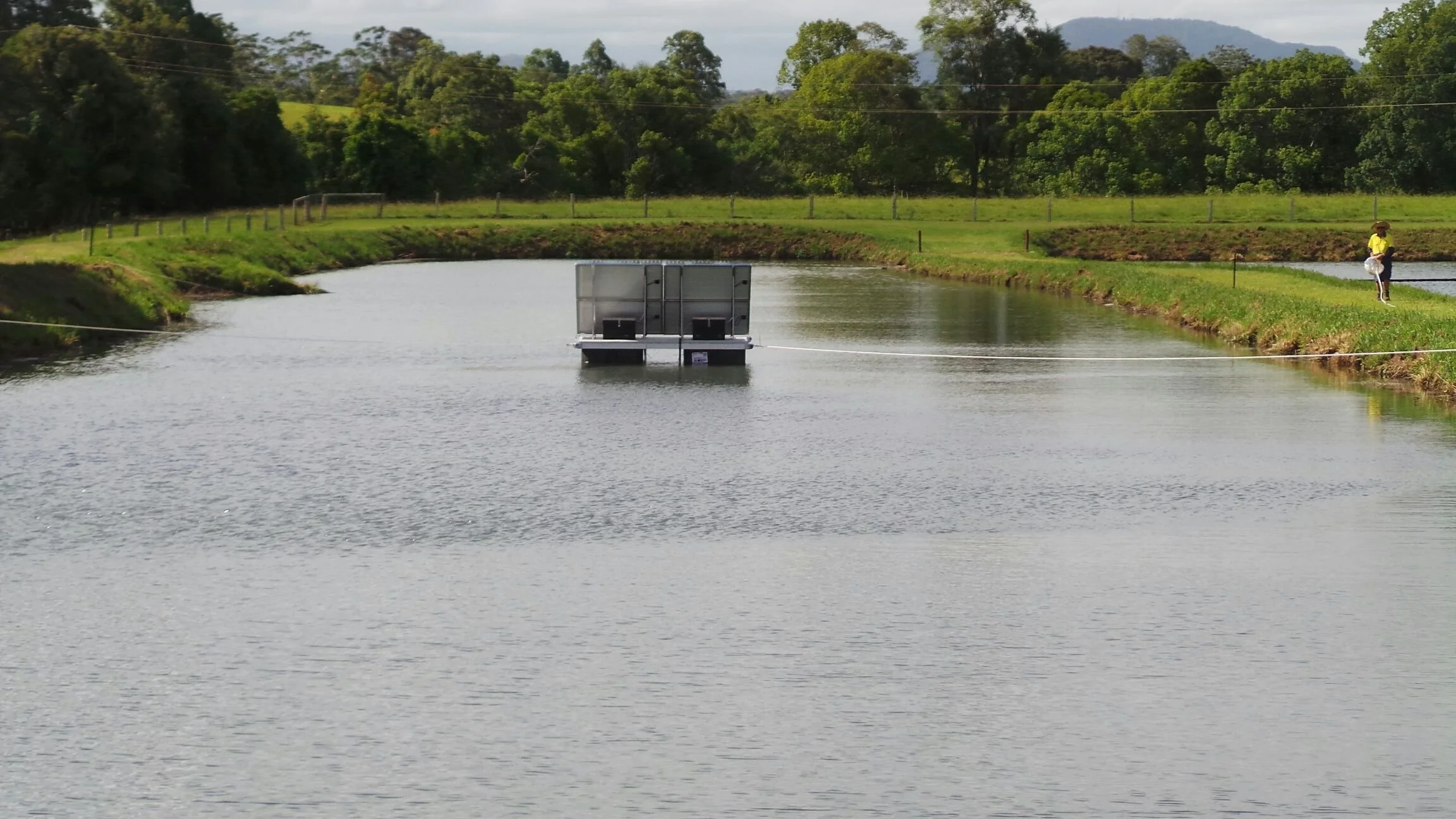 Ultrasound algae control for waste water WWTP