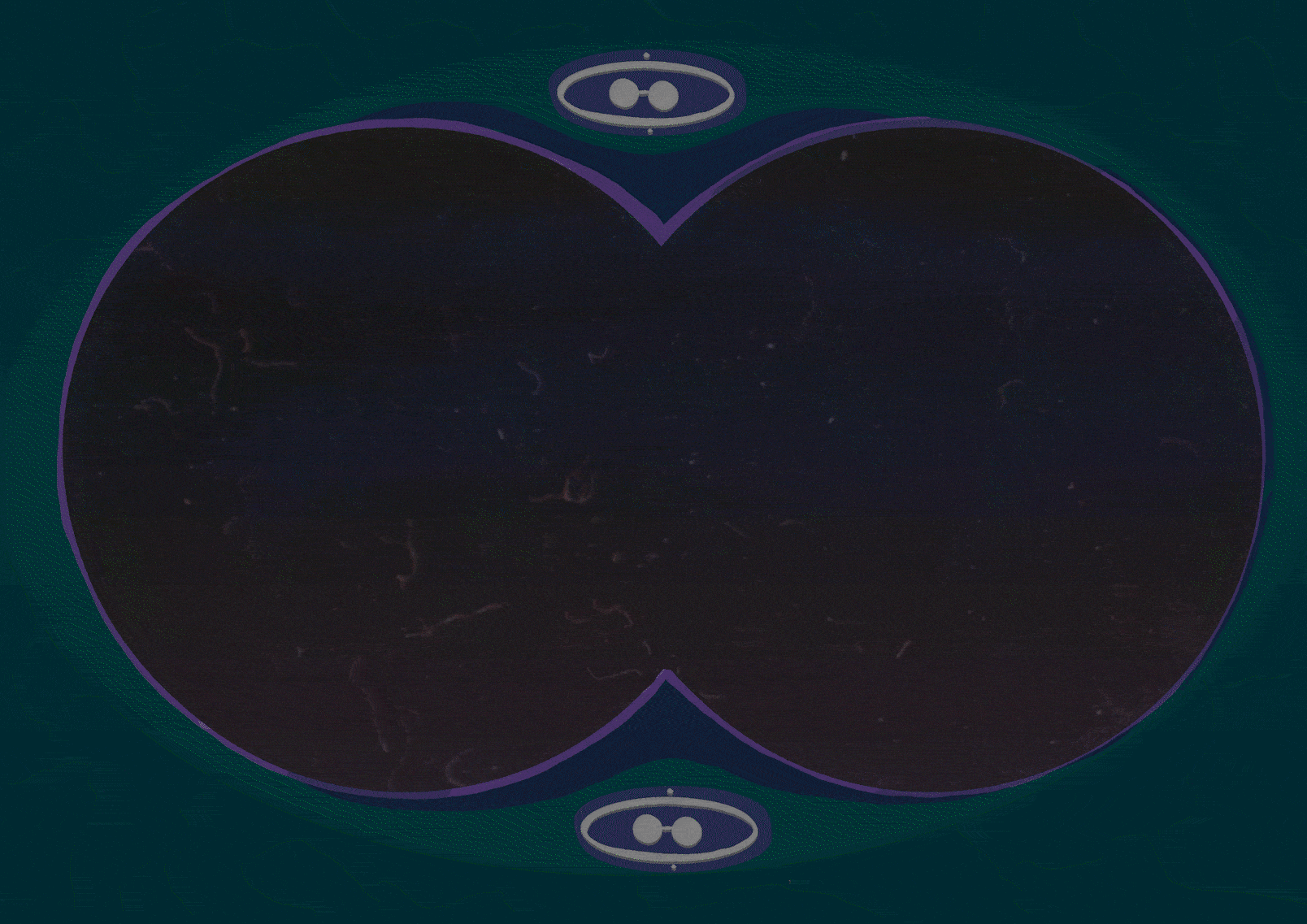 snail gif compressed.gif