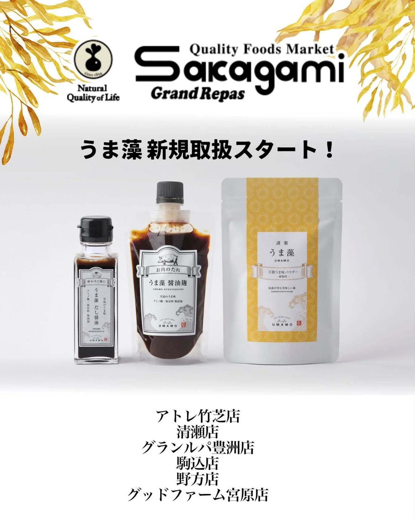 ＼スーパーサカガミ様で、うま藻販売開始✨／
東京都内で愛され続ける、美味しさと健康にこだわるスーパーマーケット「スーパーサカガミ @sakagami_official 」様でうま藻のお取り扱いがスタートしました！

私たちAlgaleXが、沖縄の泡盛粕を&rdquo;畑&rdquo;として活用し、大切に「うま藻」を育てています。
食の安全・安心を大切にされるサカガミ様の店頭に並ぶこと、スタッフ一同大変嬉しく思っています✨

不足しがちのDHAを、ふりかけて美味しく。
お近くにお住まいの方は、ぜひ