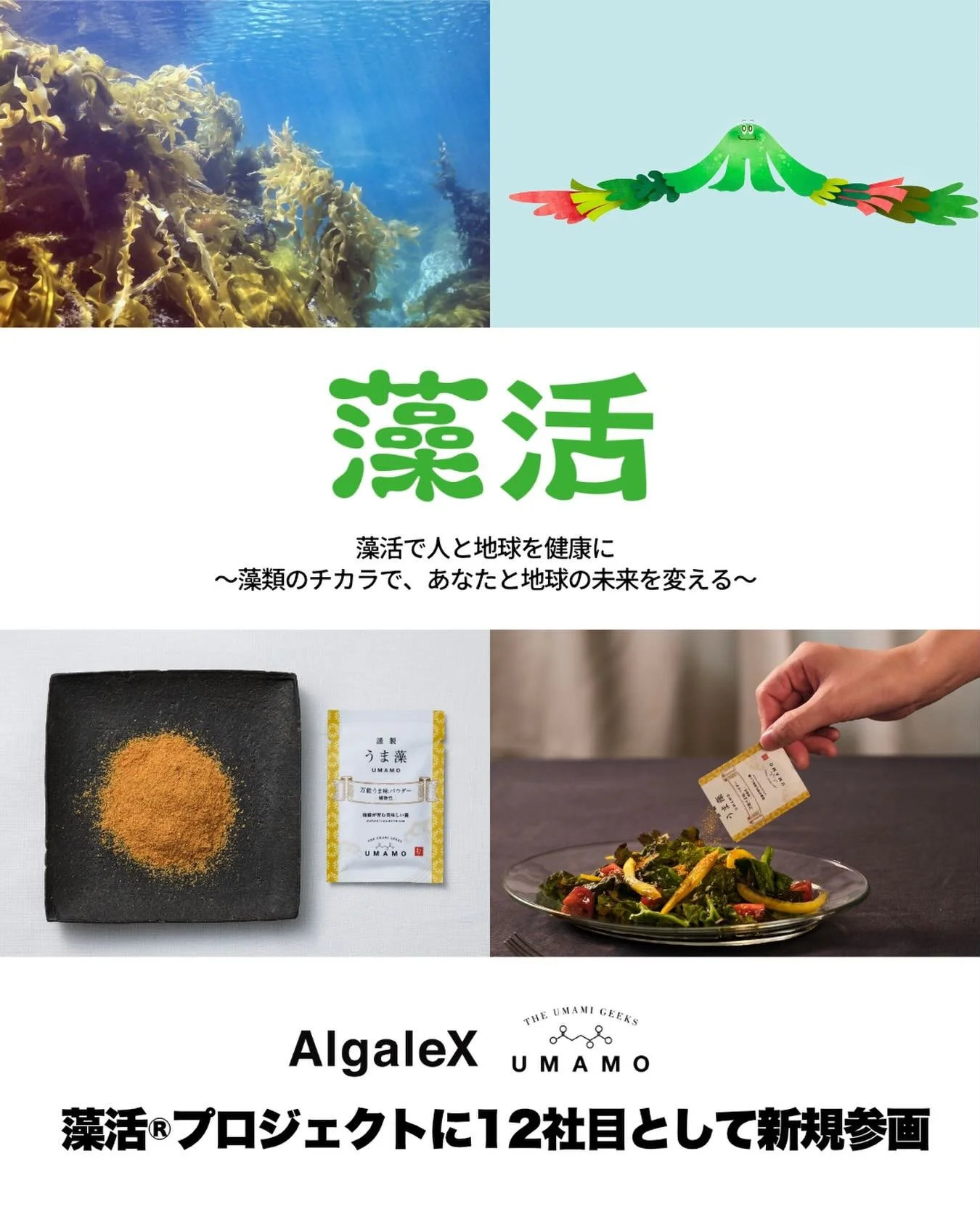 【🤝 重大発表！「藻活&reg;プロジェクト」に参画しました🌿 】

株式会社AlgaleX（うま藻）は、この度「藻活(もかつ)&reg;プロジェクト」に12社目のメンバーとして新規参画いたしました！✨

昨年12月に多業種11社が手を組んで発足した本プロジェクト。
「藻類」の力を活かし、食と健康の分野で新たな価値を創出するための、企業の垣根を越えた熱い産業連携プロジェクトです🔥

私たちAlgaleXもこの活動理念に深く共感し、参画企業の皆様と共に、「藻」の持つ魅力を発信していくことにな