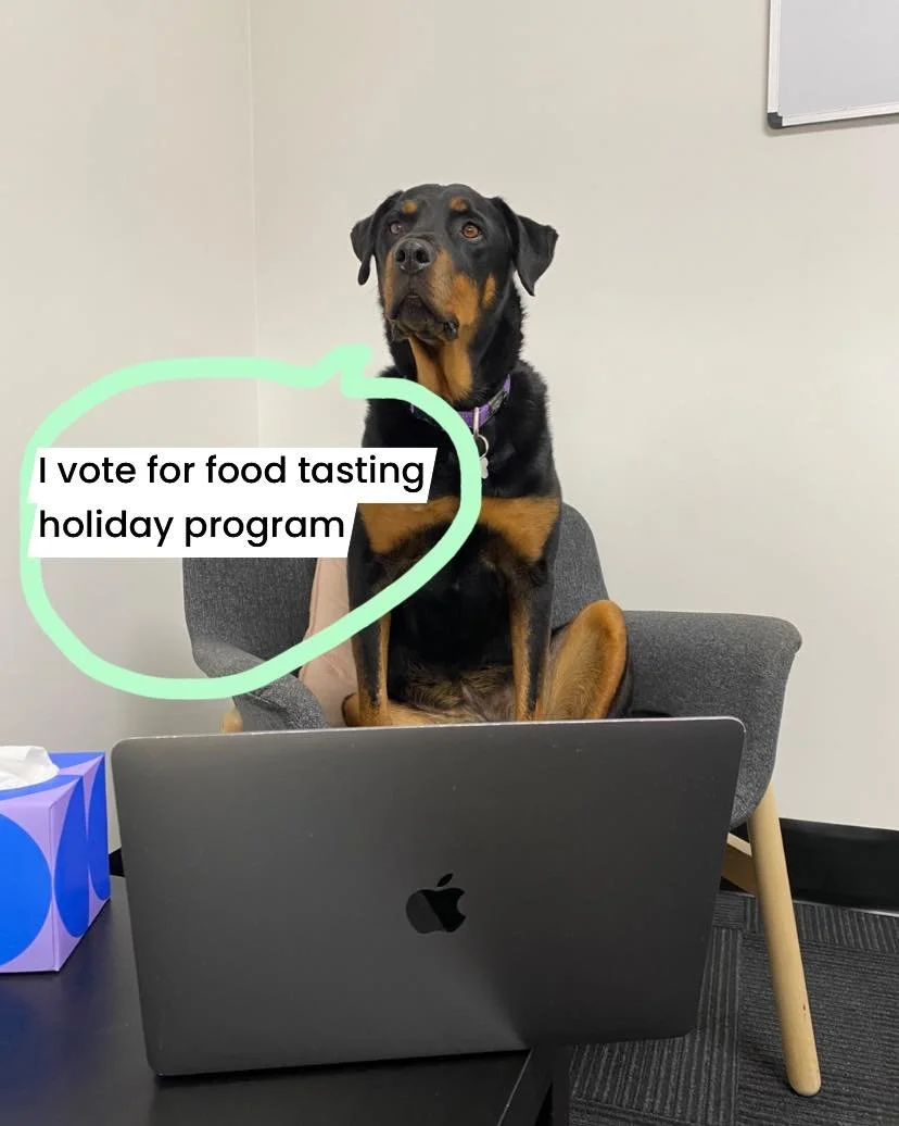 School holiday group planning in action 📖. Shug chairing the meeting today 🤓💻 #animalassistant #speechpathologist #speechtherapy #saywoof  #speechpathologylife #schoolholidayprogram