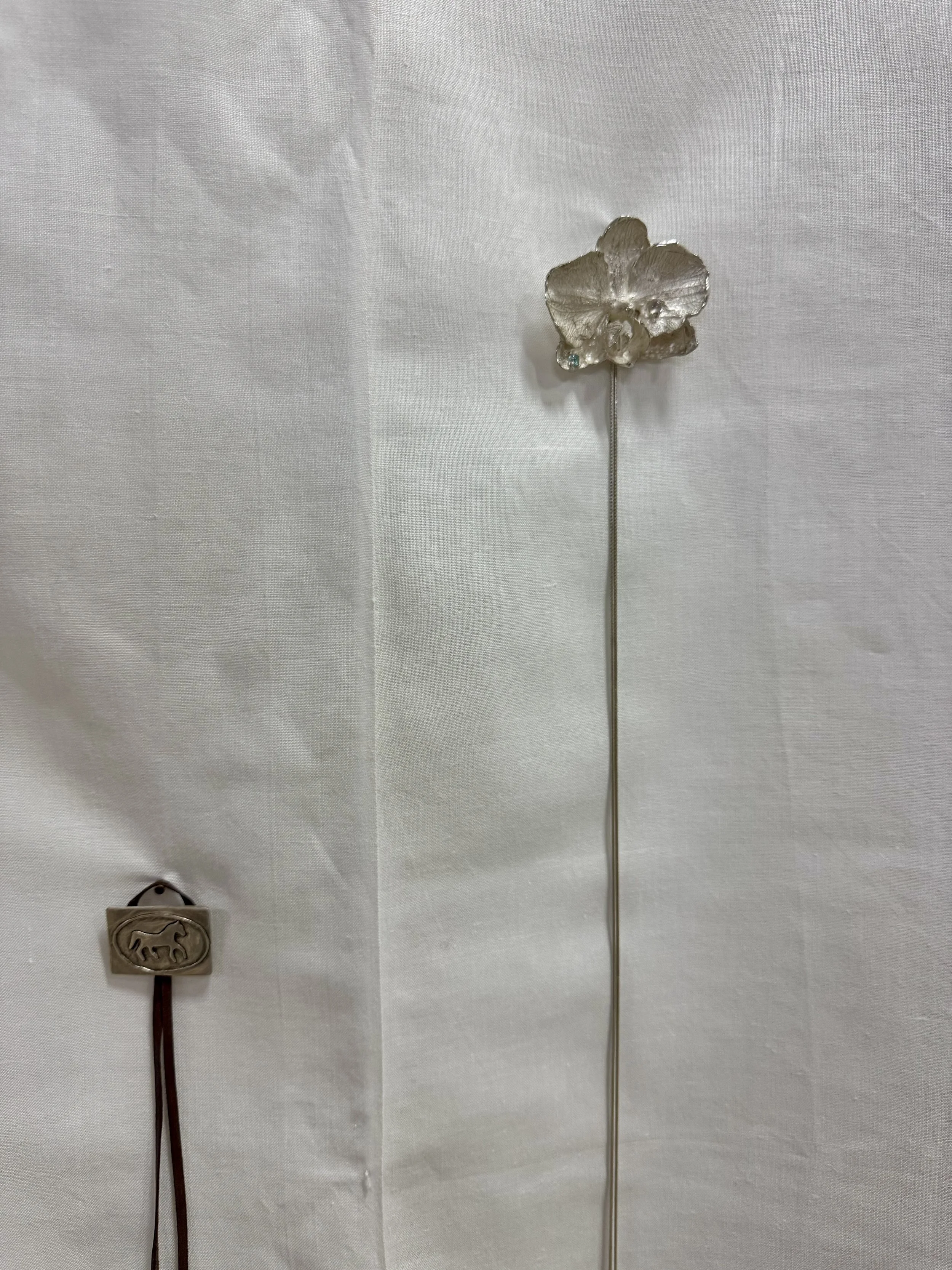 Horse and Orchid by Tara Howe