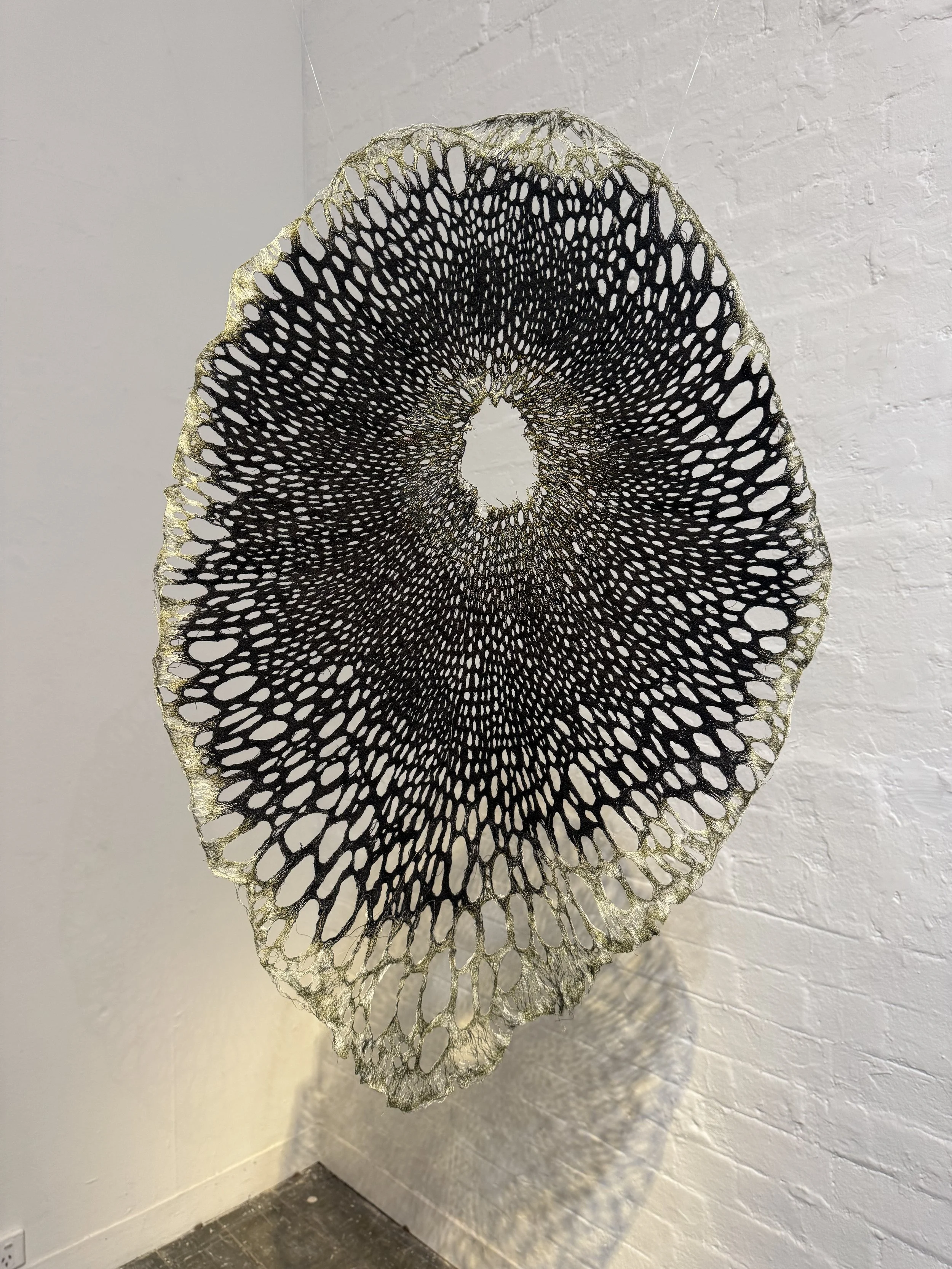 Susannah Collins