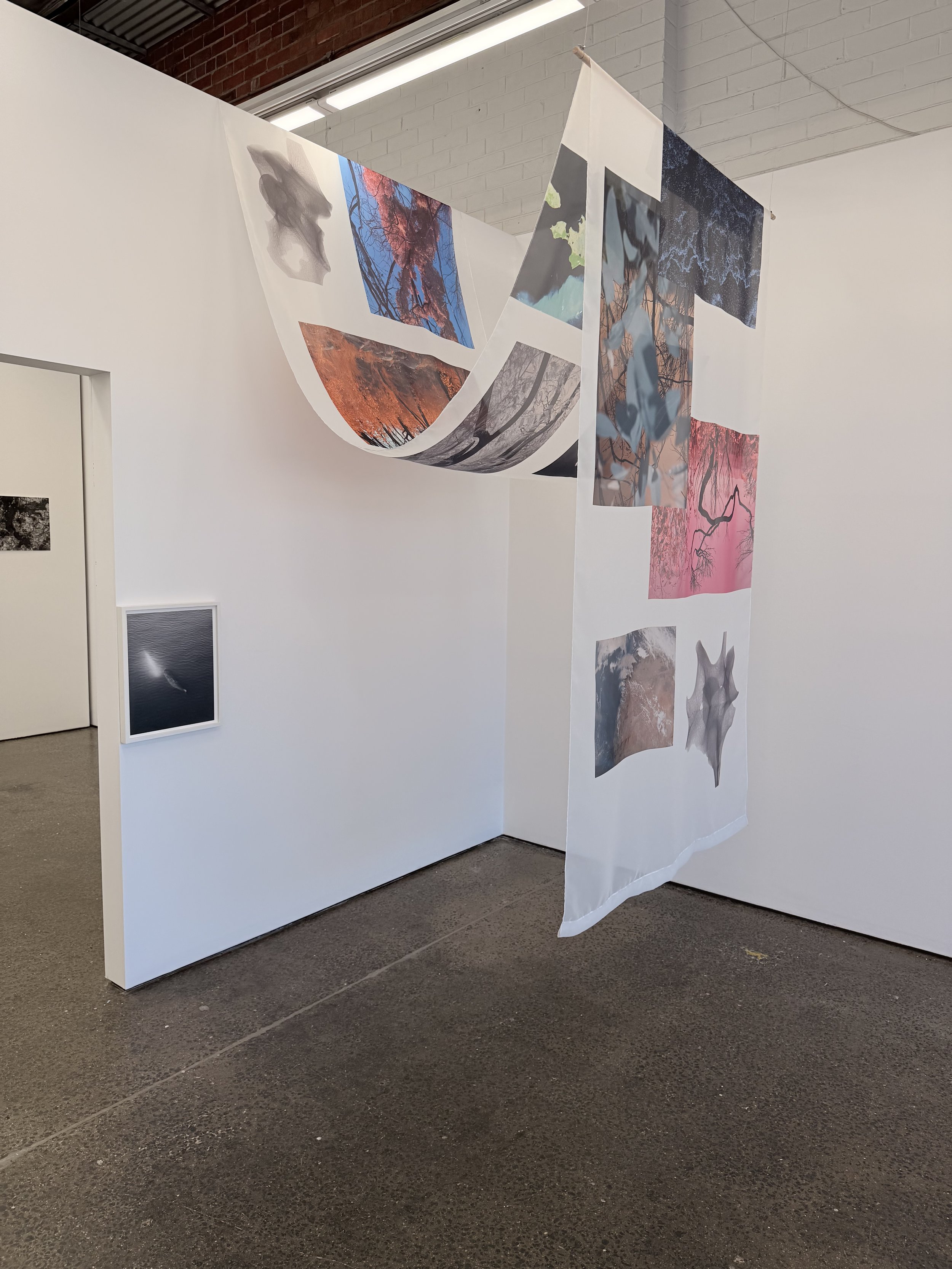 Correspondences - Hillvale Gallery