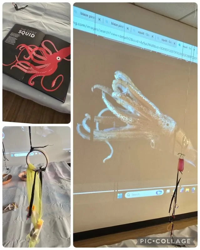 A collage of three photos showing a squid biology kit for educational purposes. The first photo shows a black box labeled "The Giant Squid" with a drawing of a pink squid. The second photo displays a projected image of a squid on a ceiling wall. The third photo features a yellow and black hanging device with a plastic squid toy attached, possibly part of the kit.