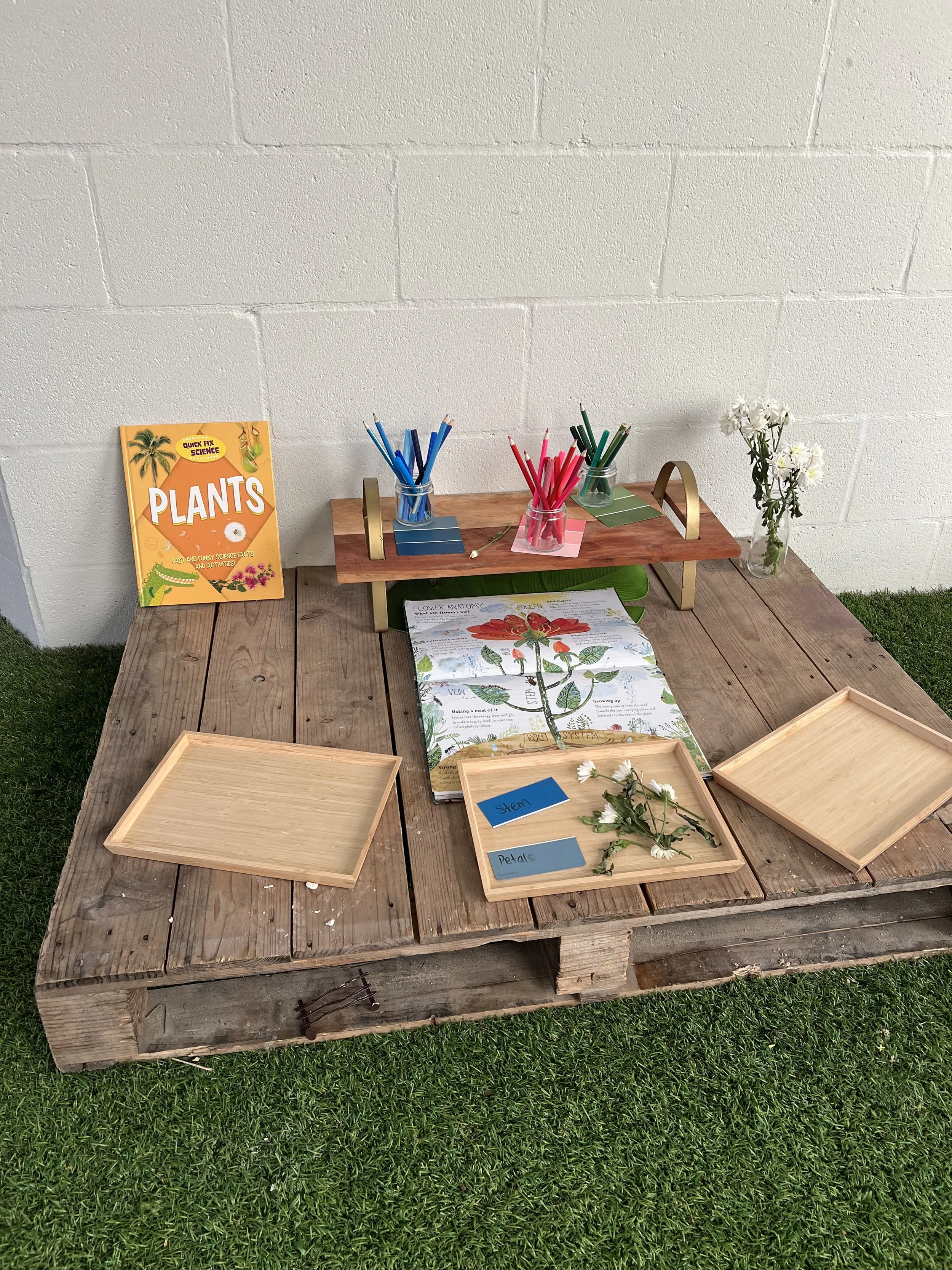 A wooden table with plant identification materials including trays labeled 'Stem' and 'Petals,' open books with plant diagrams, and decorative flowers in glass vases, set against a white brick wall with green artificial grass underneath.