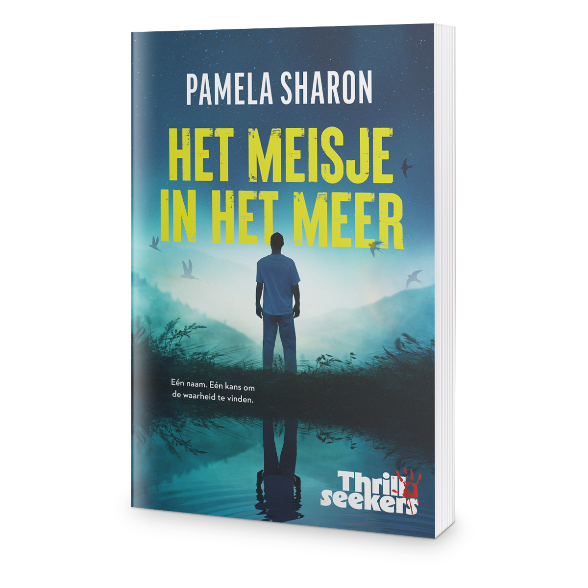 Boekcover van 'Meisje In Het Meer' door Pamela Sharon, met daarop een meer gehuld in de mist. Aan de rand van het meer staat een jonge man met z'n rug naar de kijker.