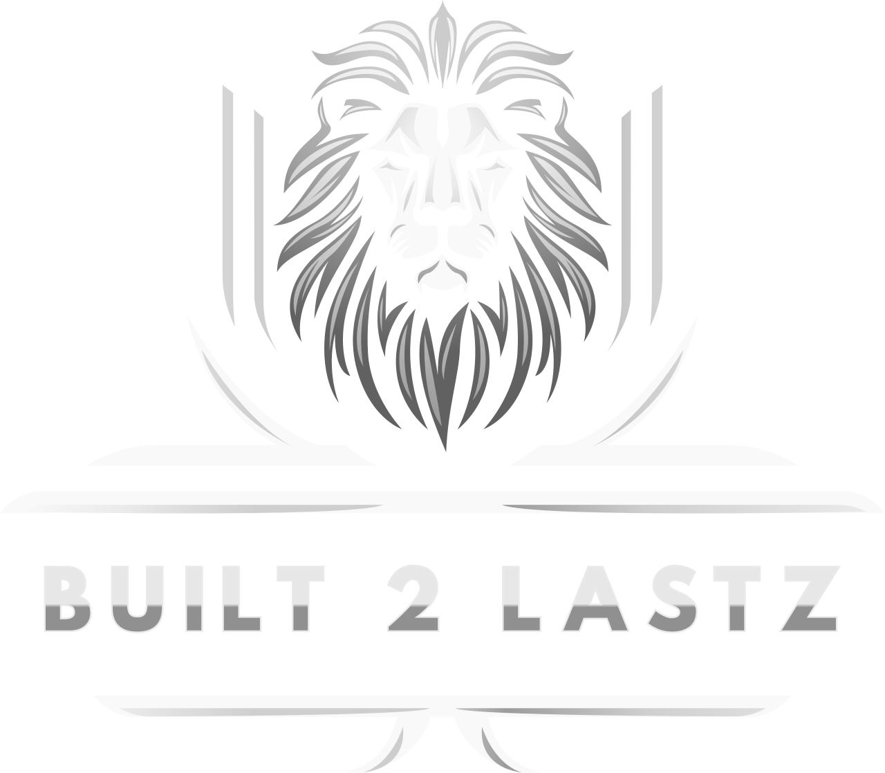 Built 2 Lastz Credit Solutions