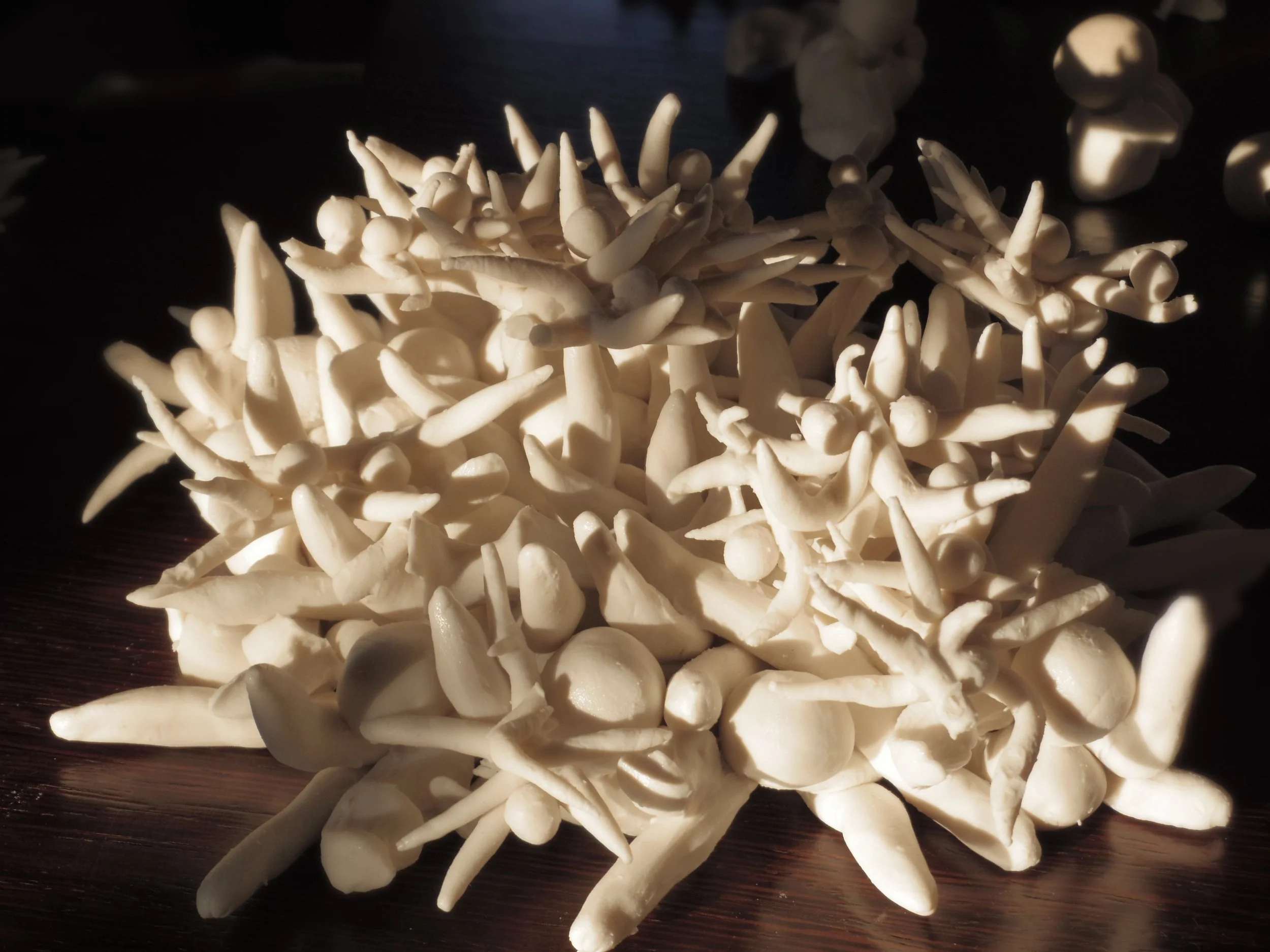 Human Crisis-2012-biscuit.JPG