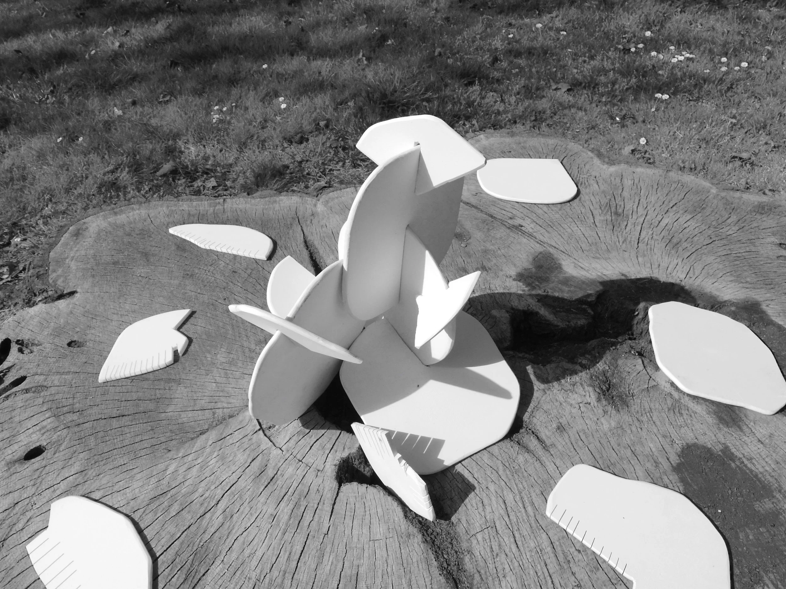 DESERT ROSE 3.jpg