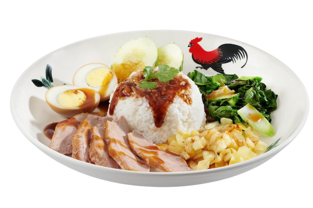 Braised Duck Rice 卤鸭饭