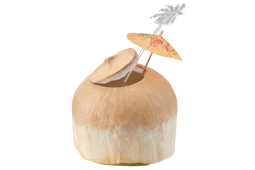Thai coconut 泰国青椰