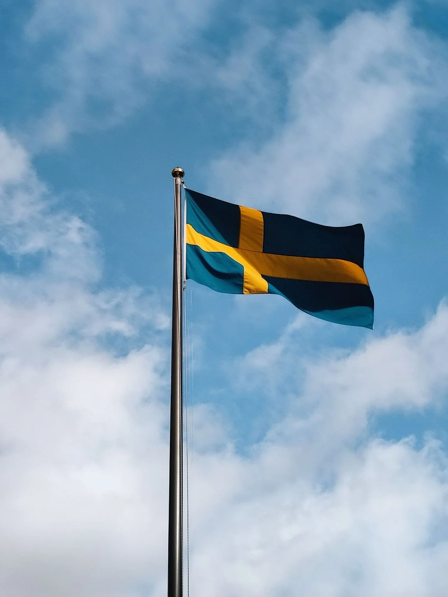 Grattis p&aring; nationaldagen Sverige 🇸🇪 💙💛