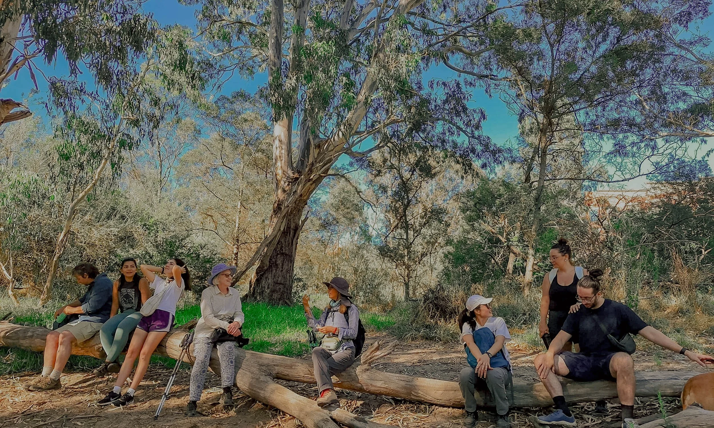 yarra-bend-tours-melbourne-group1.jpg