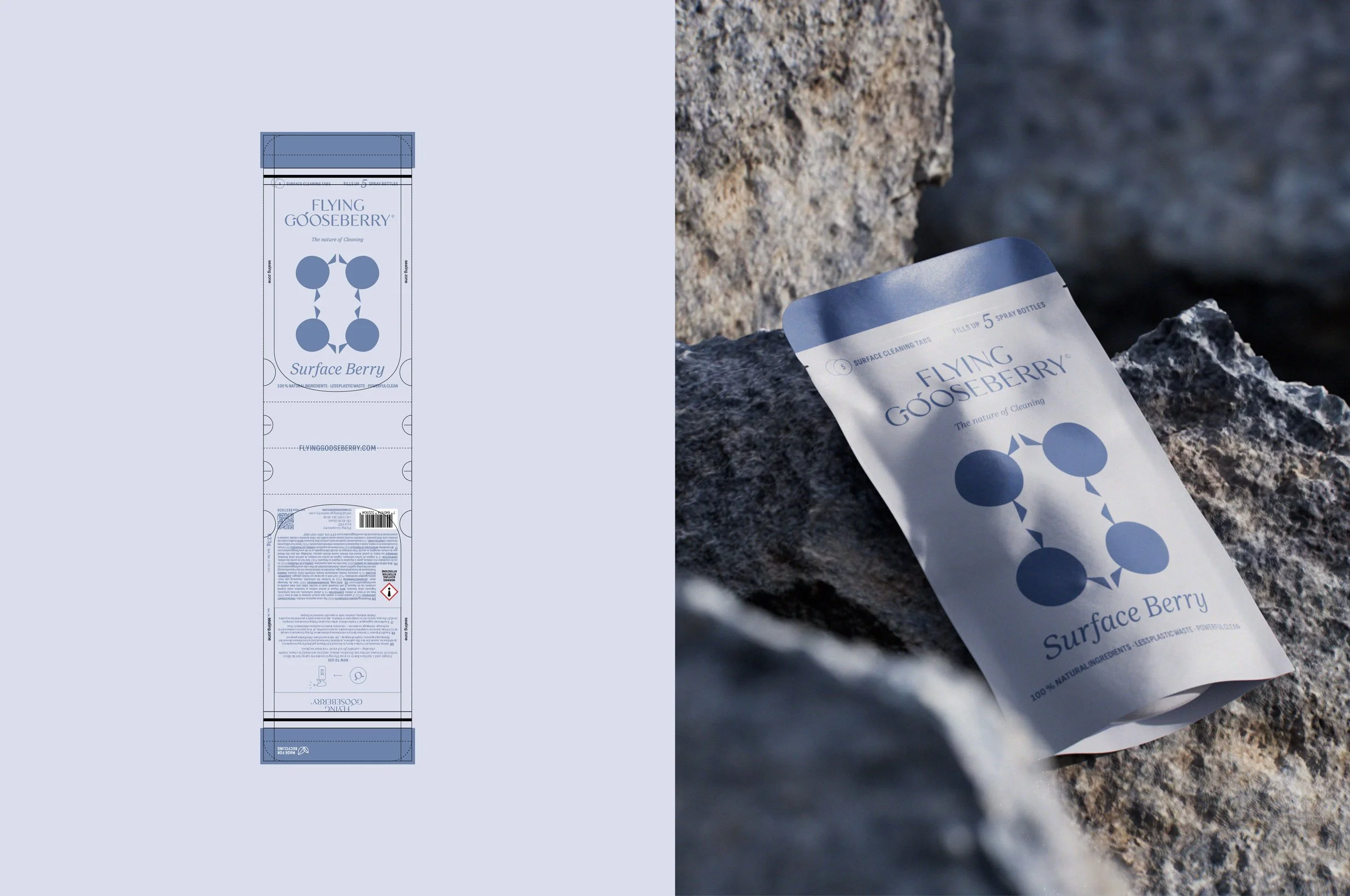 FlyingGooseberry-design-byjule-surface-berry-packaging.jpg