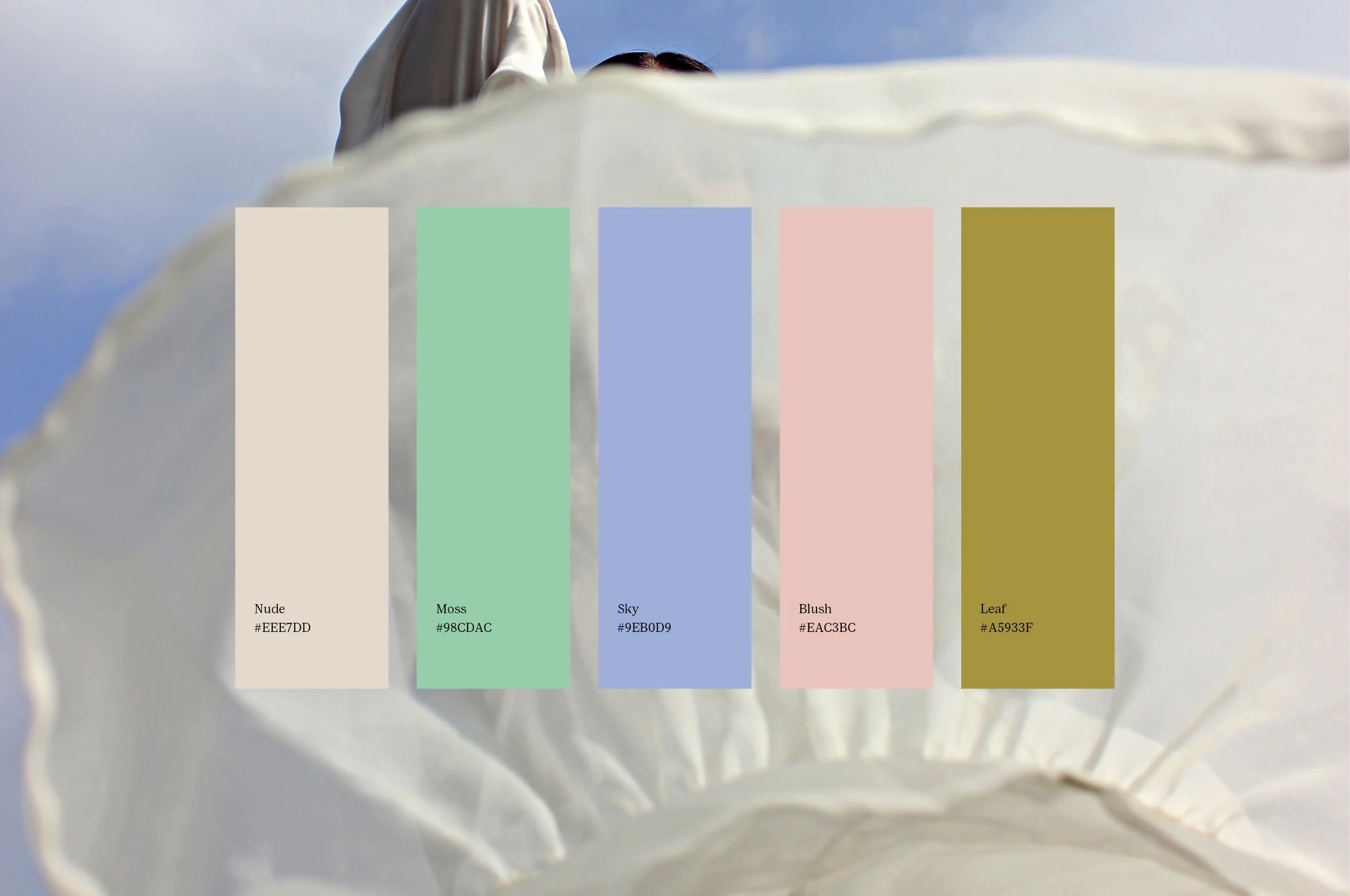 Colour System Corporate Identity by Jule