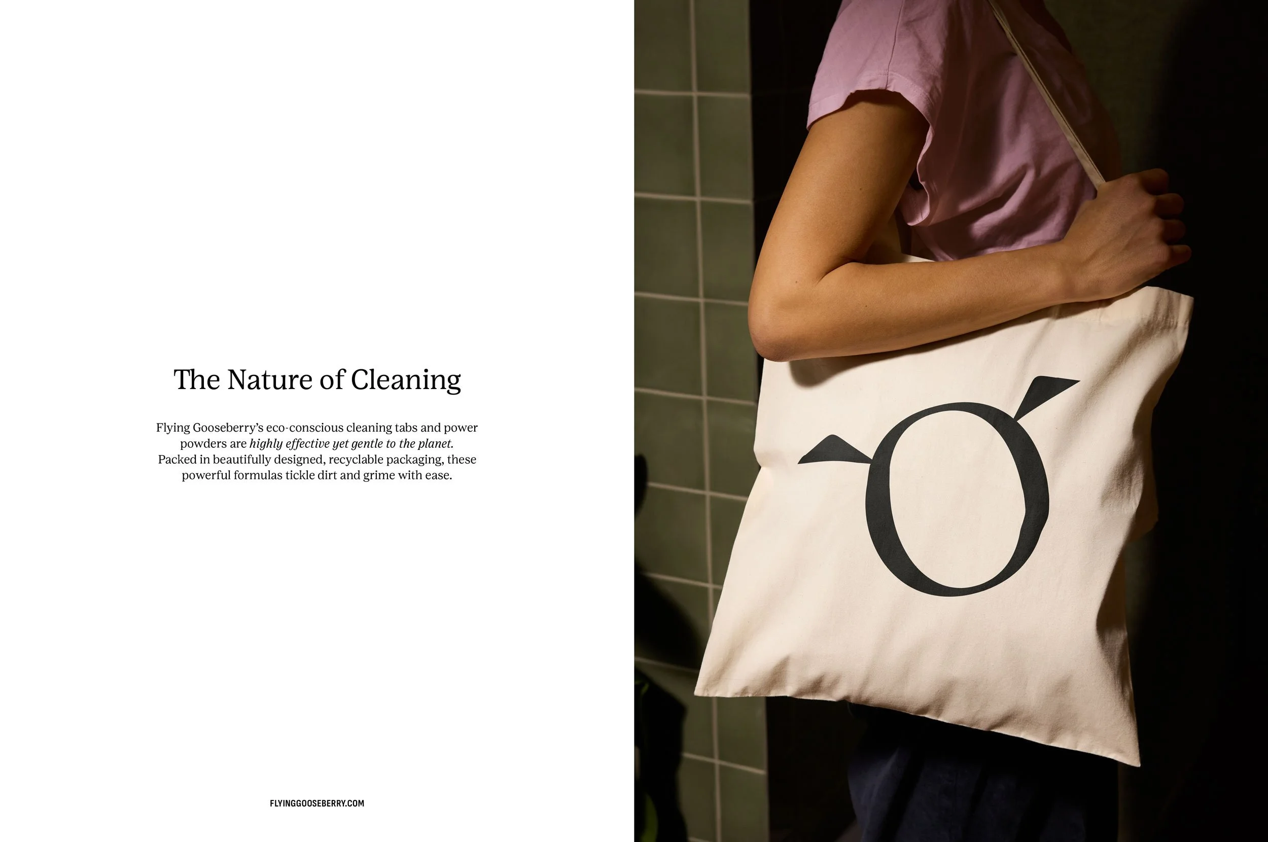FlyingGooseberry-design-byjule-tote-bag-icon.jpg