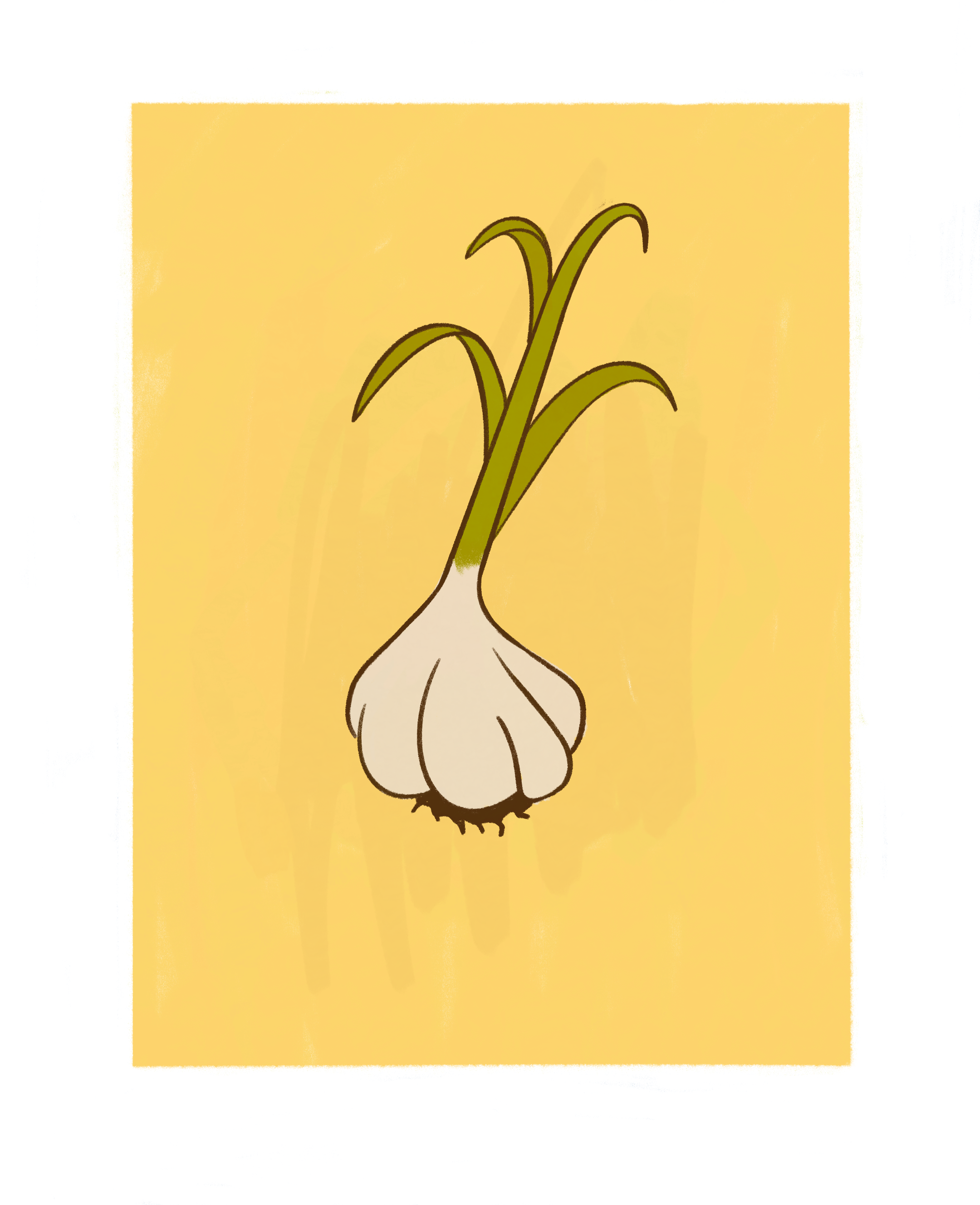 Untitled_Artwork 1.png