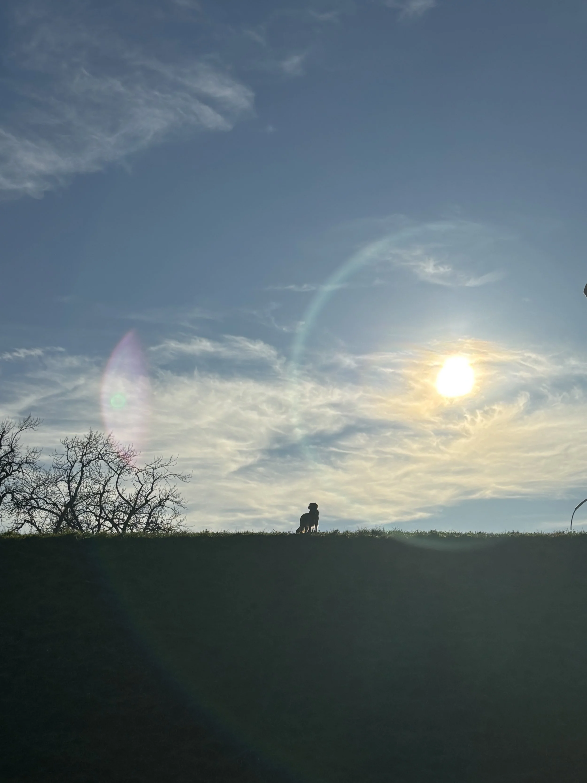 NOVOGODIŠNJE ODLUKE - IZ tijela, ne iz KALENDARA