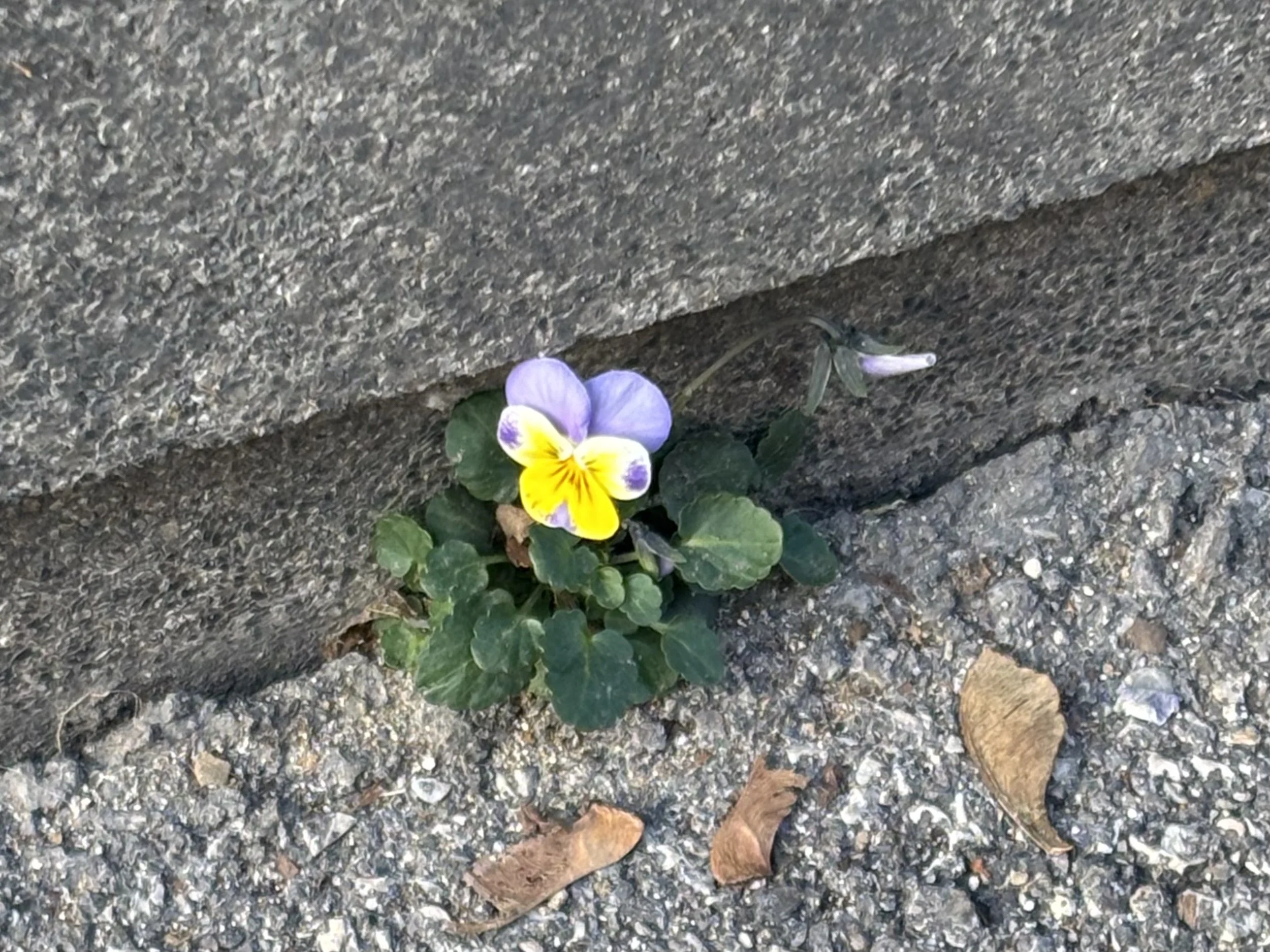 promjena nije proces - ona je uska pukotina