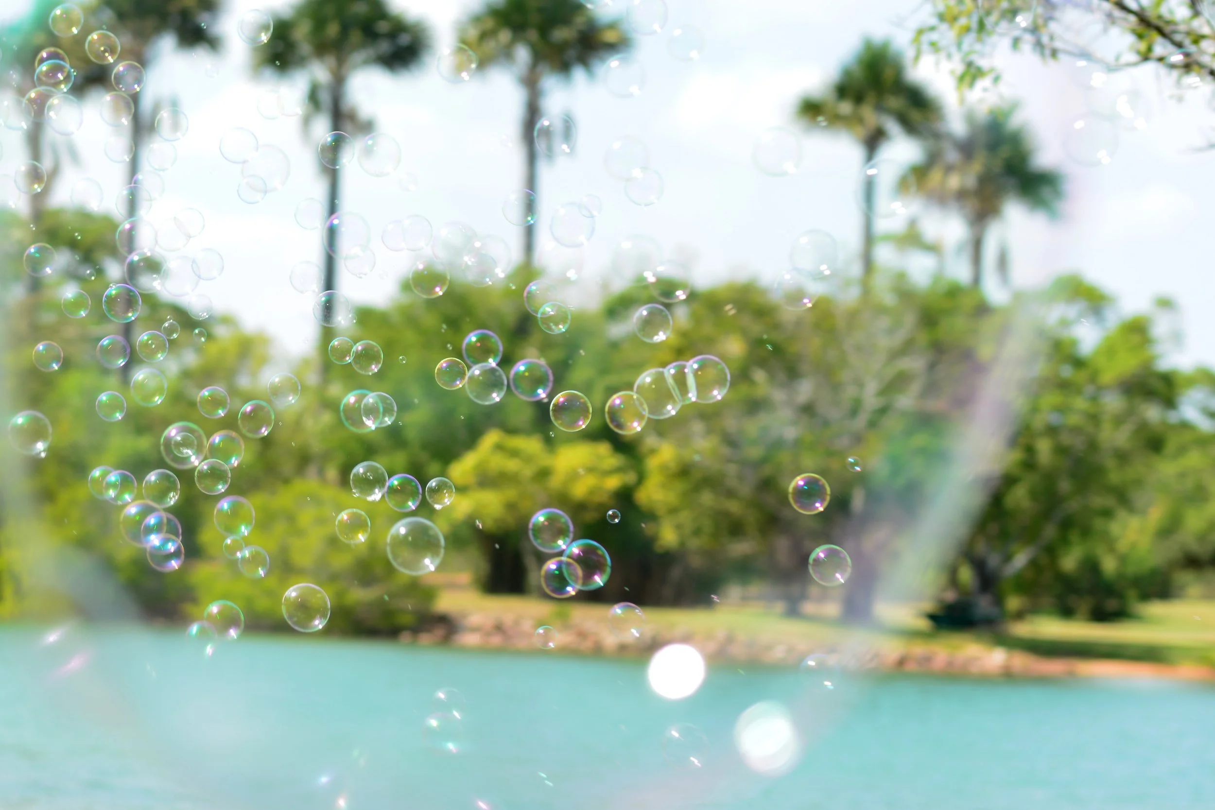 Bubble Birthday Party at Lake Alexander 2024