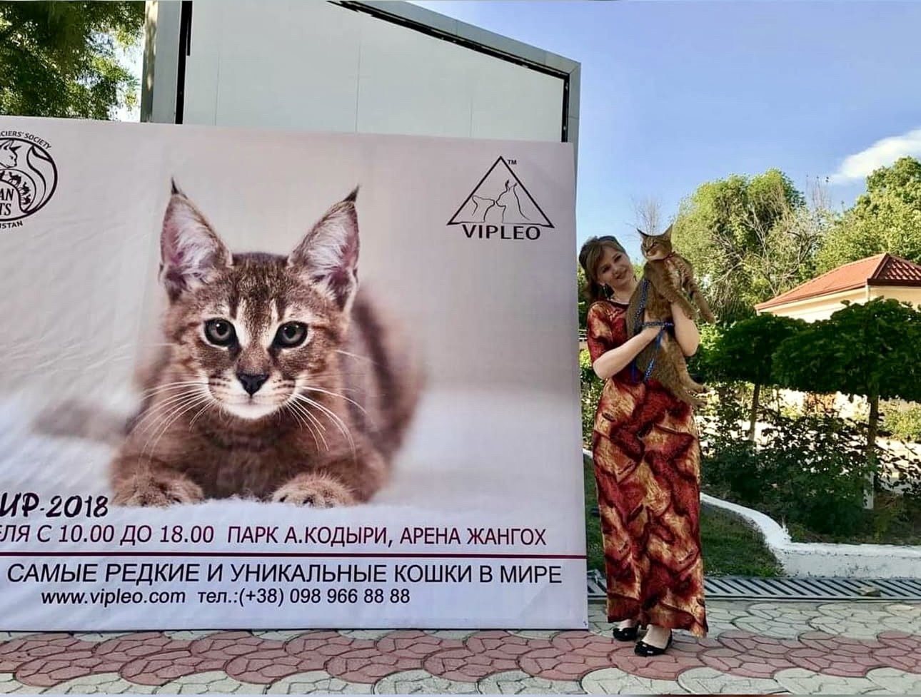 Alternate angle of Ganna Kuzmina standing next to the official “Kashemir 2018” cat show banner in Tashkent. The large display features a VIPLEO Caracat, logos of the exhibition and the VIPLEO cattery, and highlights the exclusive participation of VIP