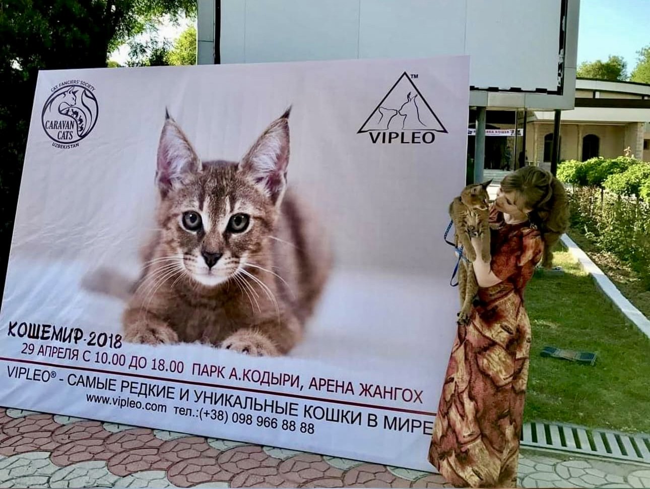 Ganna Kuzmina standing beside the official banner of the “Kashemir 2018” international cat show in Tashkent. The large banner features a Caracat from VIPLEO, along with the event’s logo, the VIPLEO cattery logo, and event details: April 29, 10:00–18: