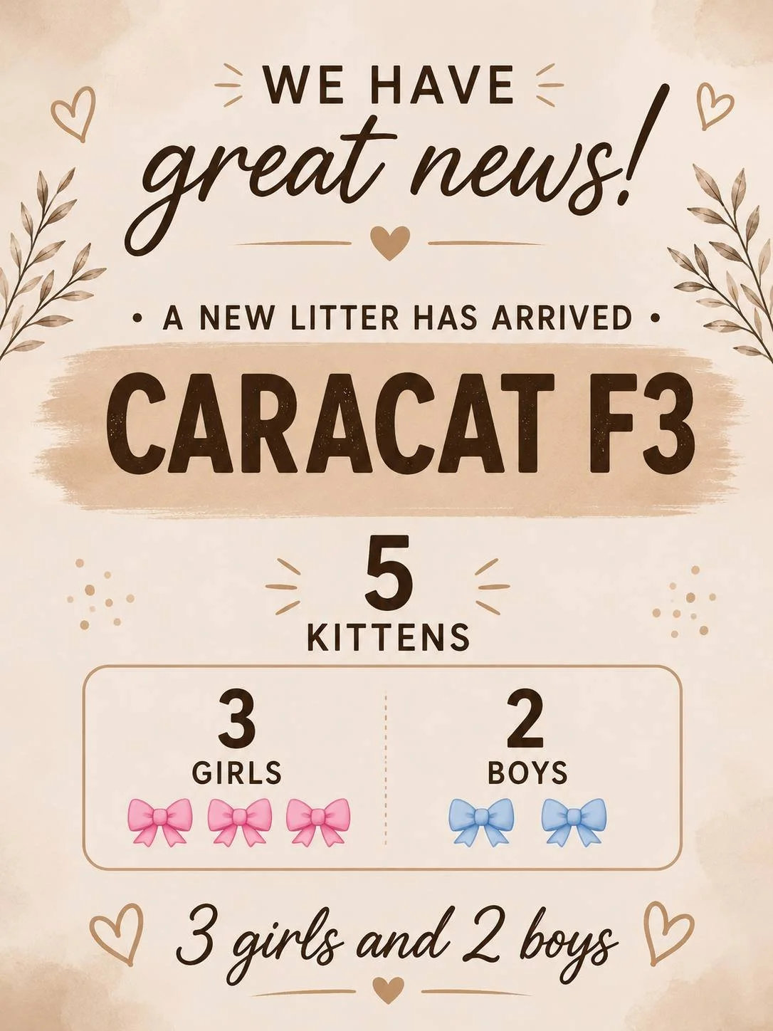 Caracat F3 (For Sale) 2026