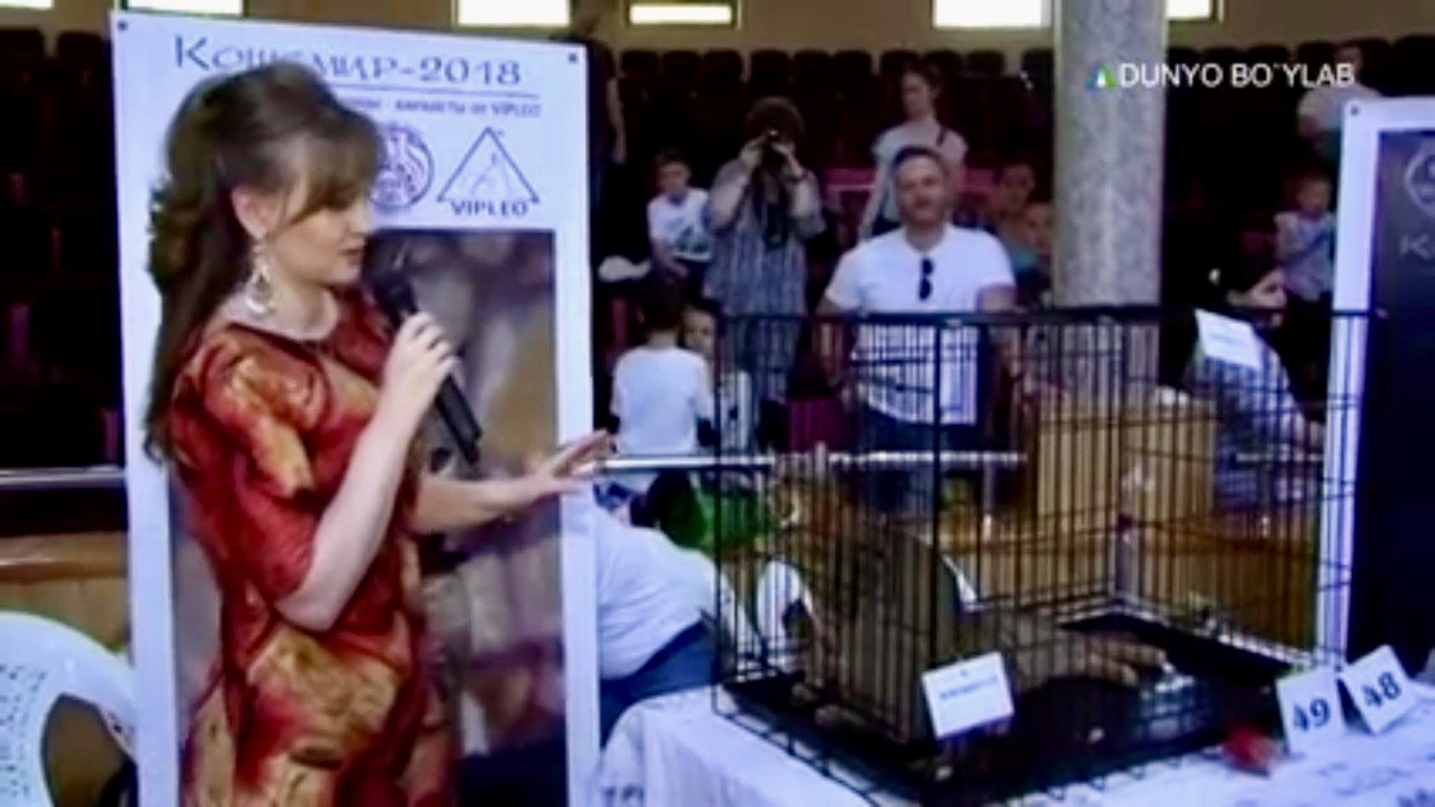 Ganna Kuzmina on stage at the “Kashemir 2018” international cat show in Tashkent, presenting the Caracat breed. Holding a microphone and standing beside several Caracats, she speaks in front of a large VIPLEO banner featuring the cattery’s logo and a