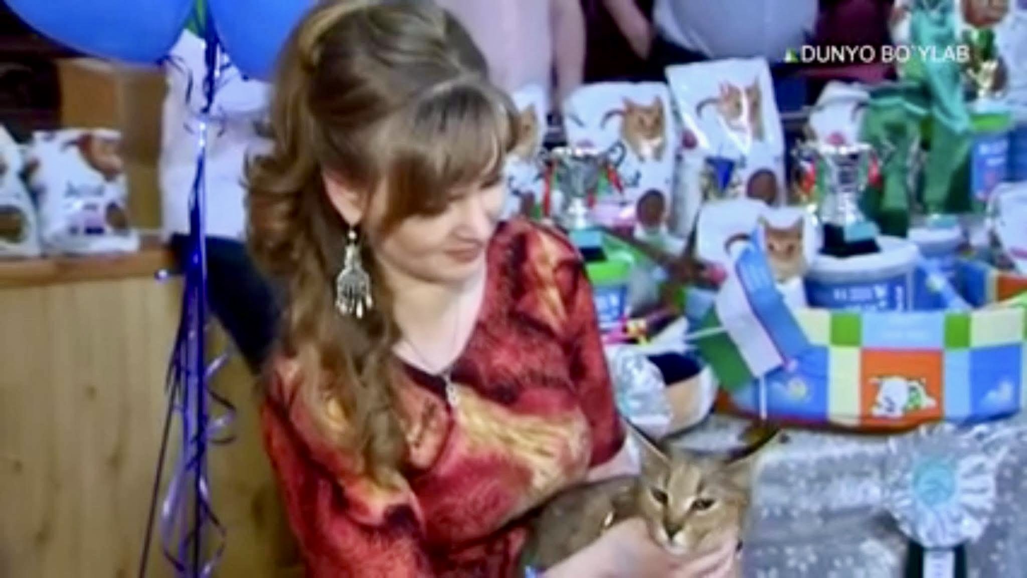 Ganna Kuzmina at the “Kashemir 2018” international cat show in Tashkent, holding a Caracat F1 male on her lap. A calm and focused moment during the breed presentation, showcasing the exceptional type and temperament of VIPLEO’s high-generation hybrid