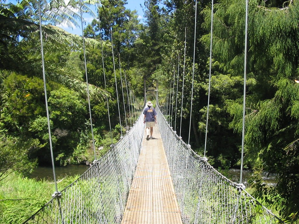 Senderismo-en-Nueva-Zelanda-con-CrisKim-Travel-Designers-Karangahake-Gorge-Coromandel.jpg