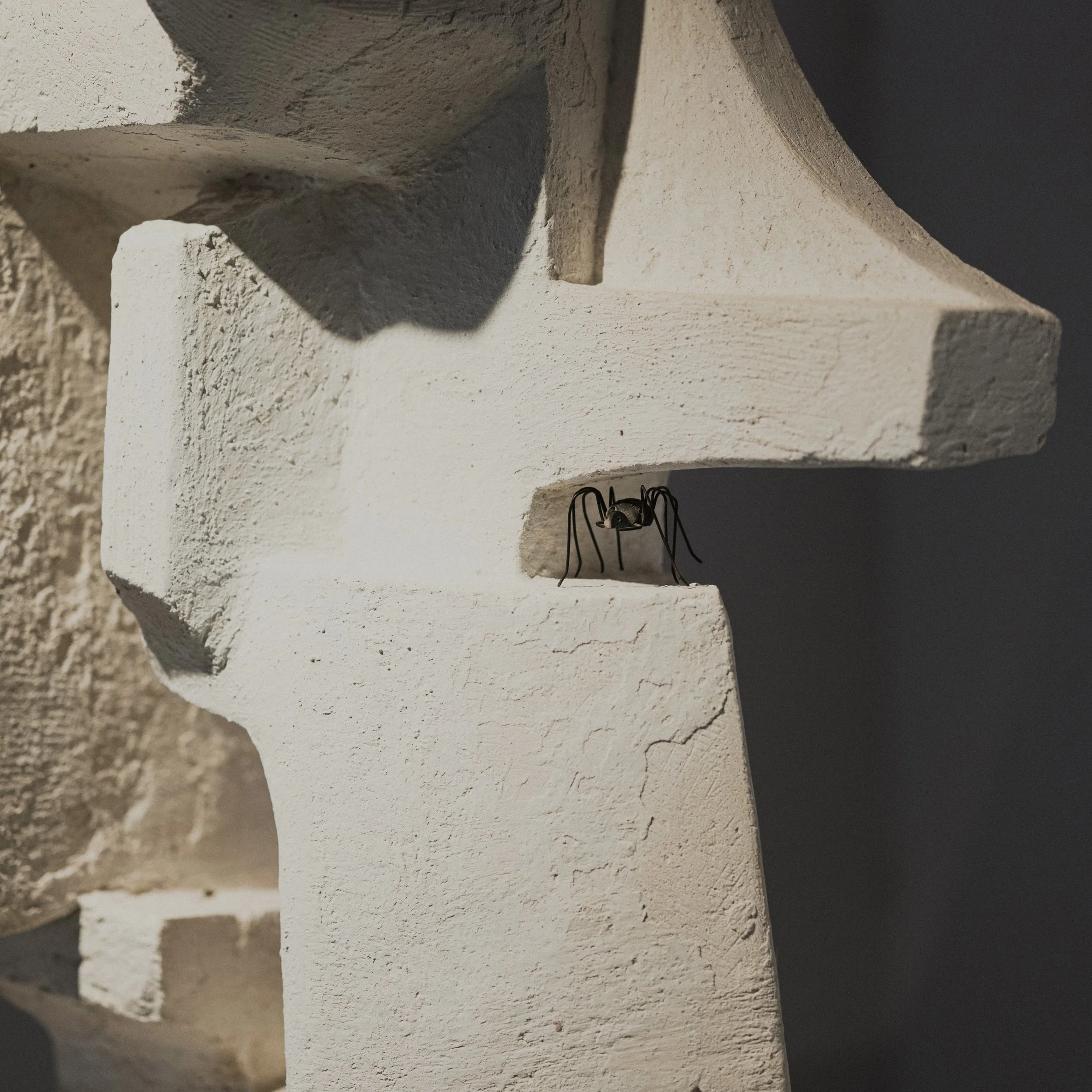 Daniel Pelcat Photographe -104.jpeg