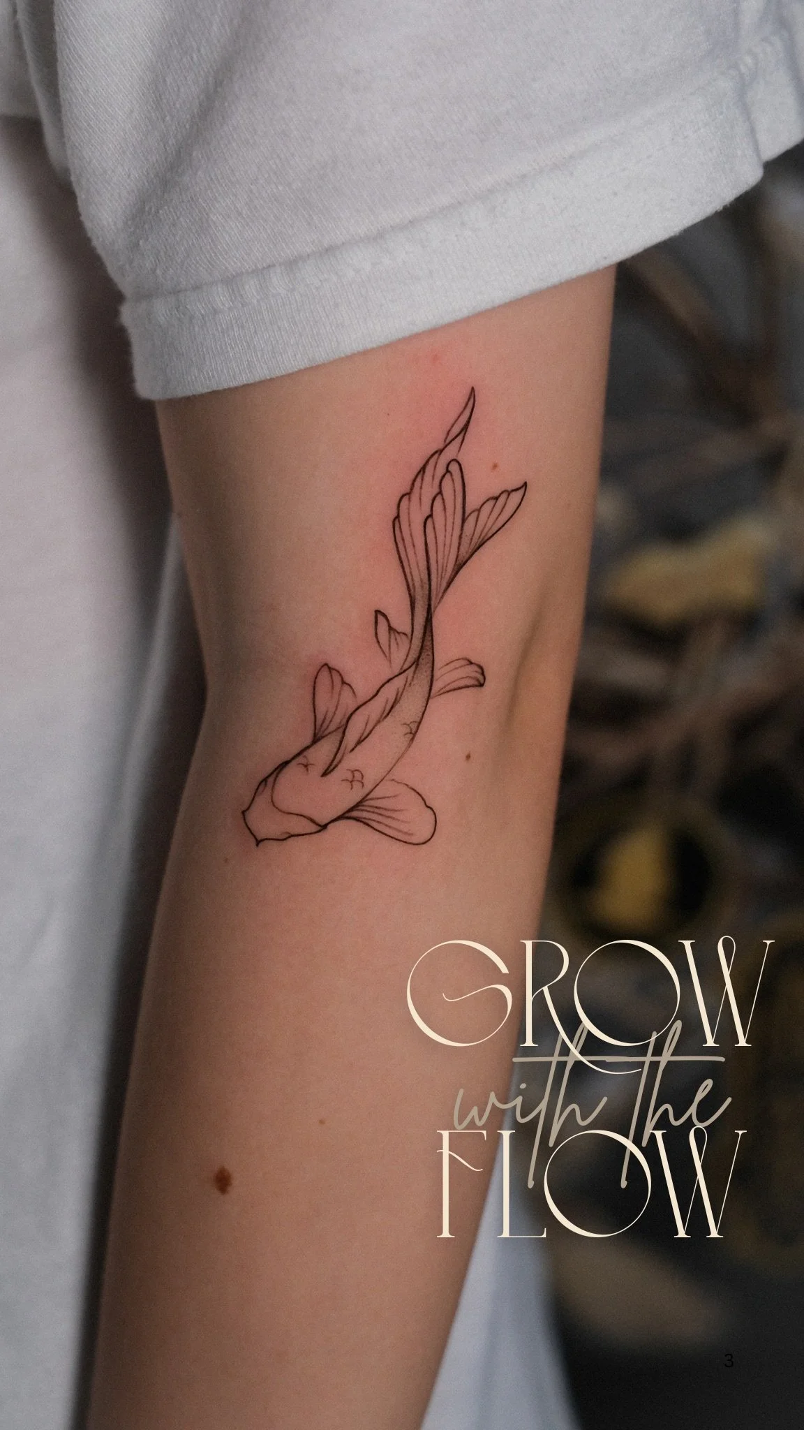 Poppy for vanni.zip - 3.png