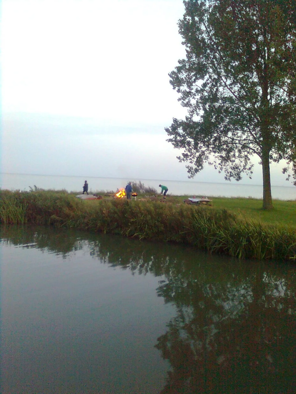 Een groep mensen bij een kampvuur aan de rand van een grasveld met bomen, nabij een waterlichaam.