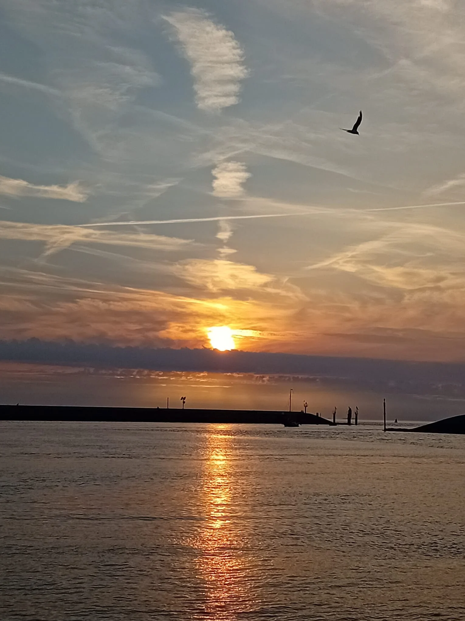 Zonsondergang boven zee met silhouetten van een pier en vogels in de lucht.