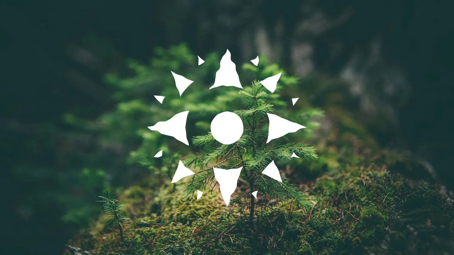 Ledig stilling som dagleg leiar/fjelloppsyn i Vågå fjellstyre