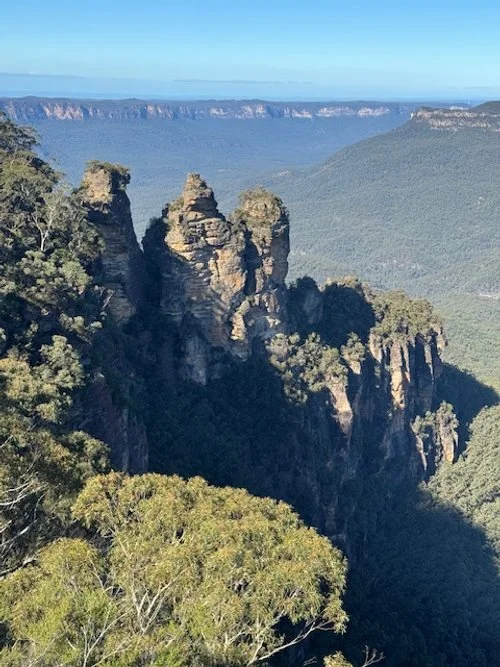 Rock formations and dense green forest in a canyon with a flat-topped mountain in the distance under a clear blue sky.