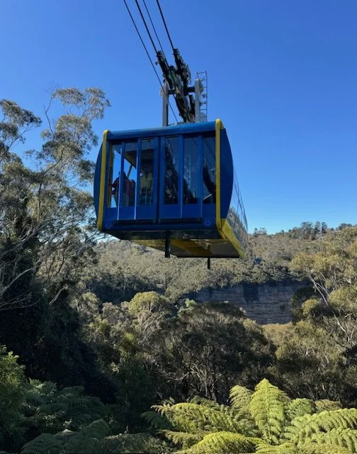 A blue cable car with yellow accents suspended in the air above a forested valley.
