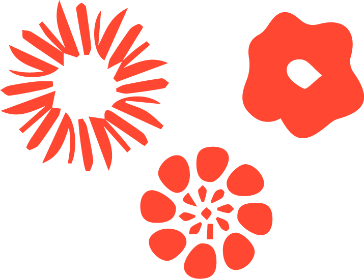 llamas_regenerativas_meditacion_plantas_medicinales_sanar