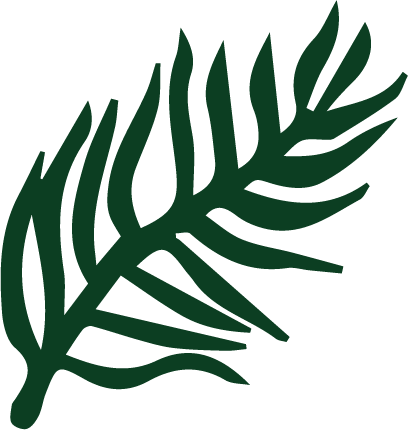 Ilustración de una hoja de palma verde estilizada.