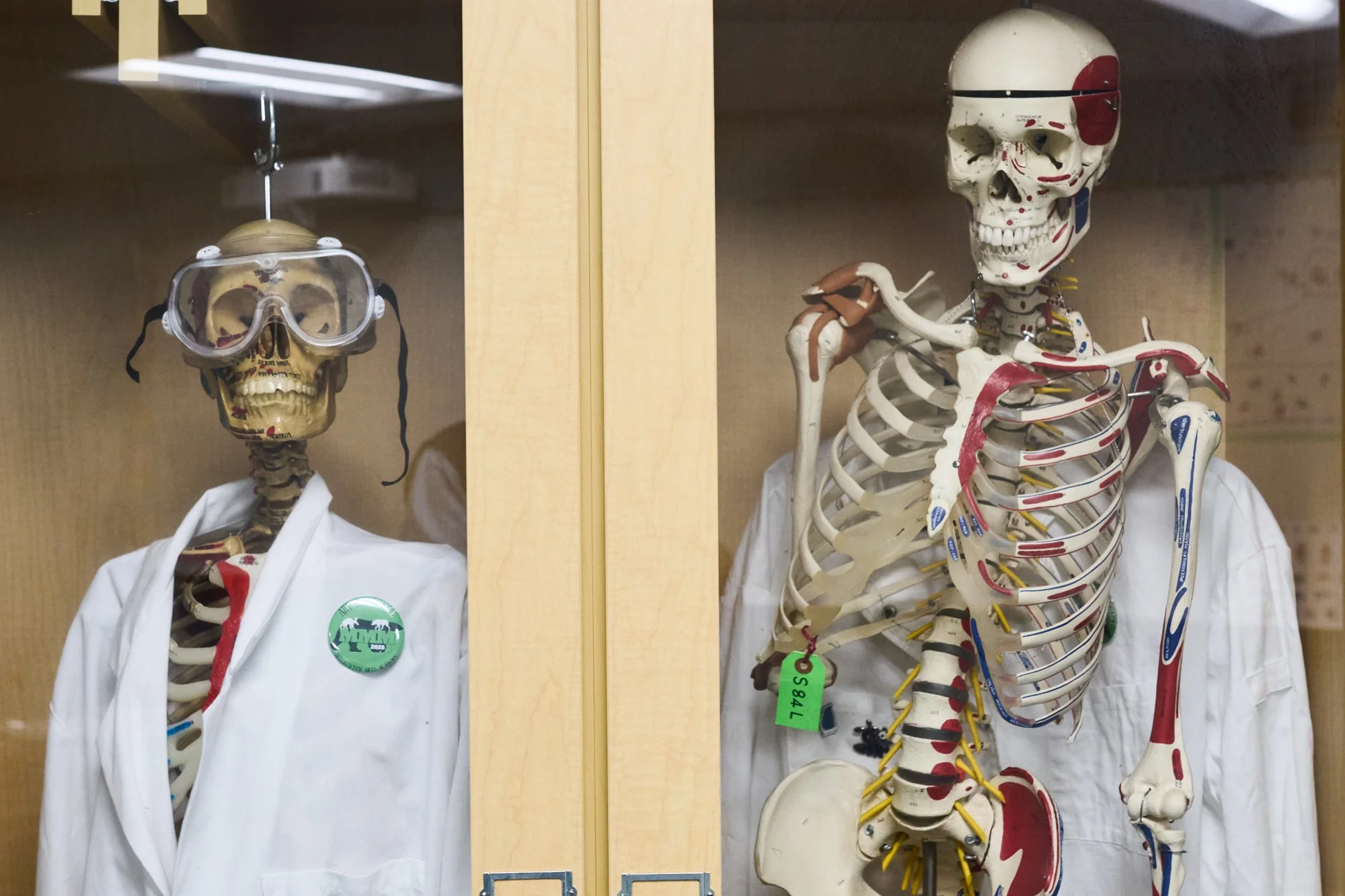 IAC_2025_JR_Music_Piano_Keyboard Musicianship_2637.jpg