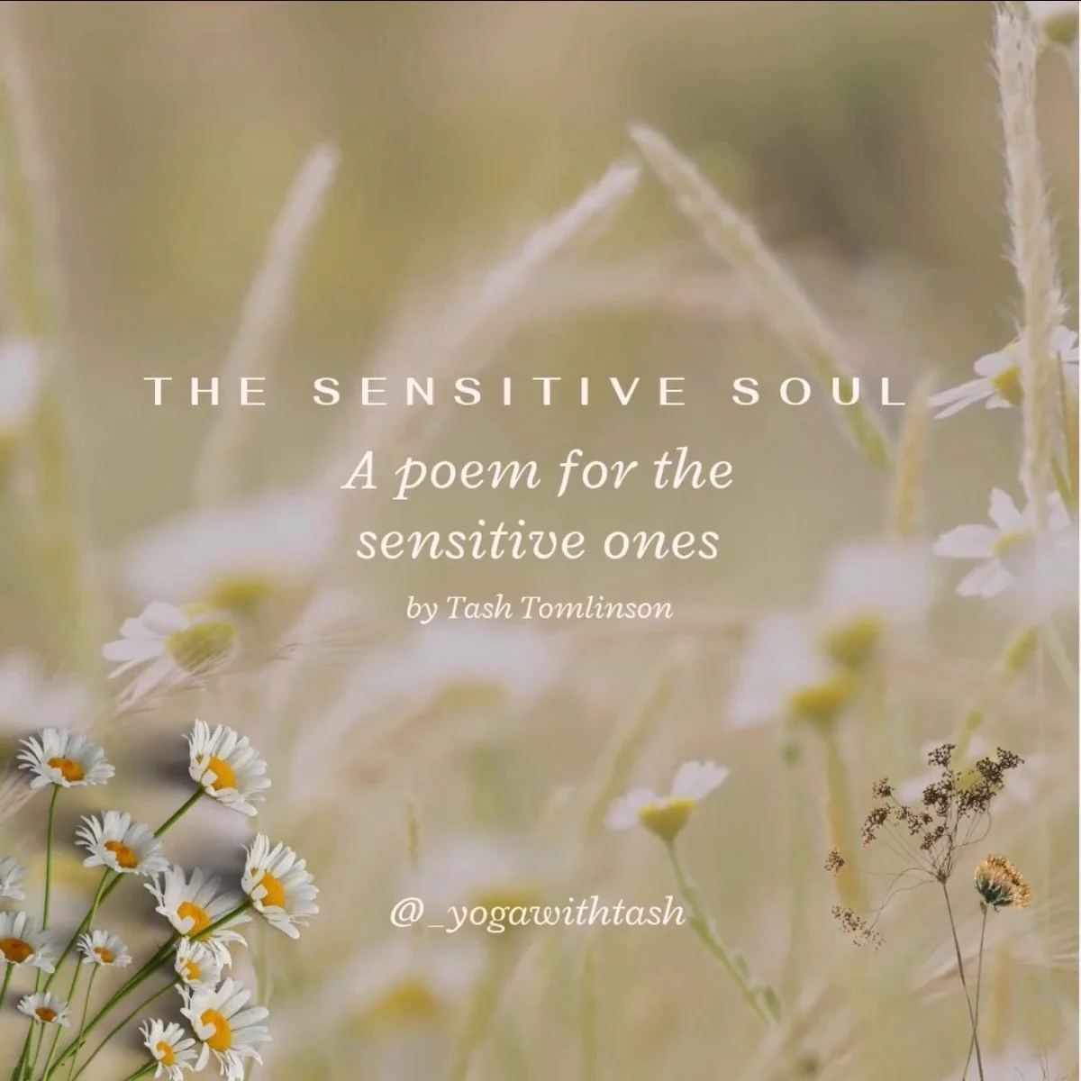 A poem for the sensitive souls who feel deeply, notice quietly and are intensely connected to the world around them 🌿

May we learn to honour our softness, trust our intuition and remember that we were never meant to be less of who we are 🤍✨

#yoga