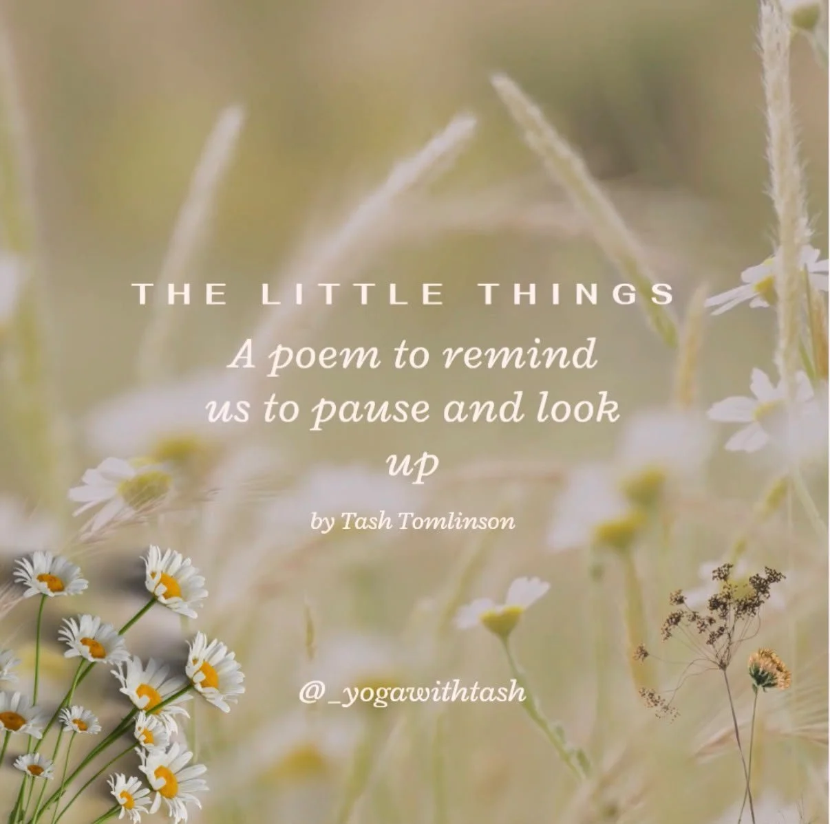 The Little Things