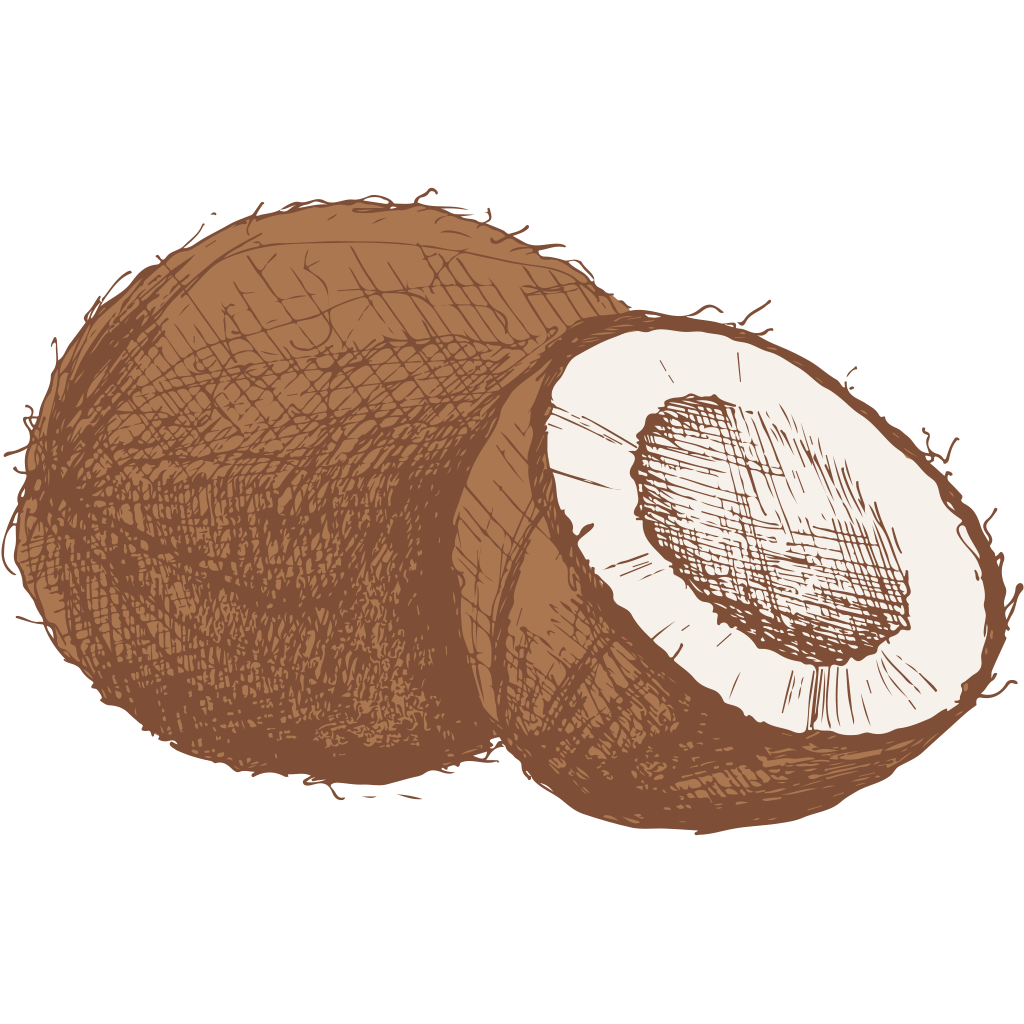 Illustration of a coconut, showing half of the coconut with its inner white flesh and brown outer shell.